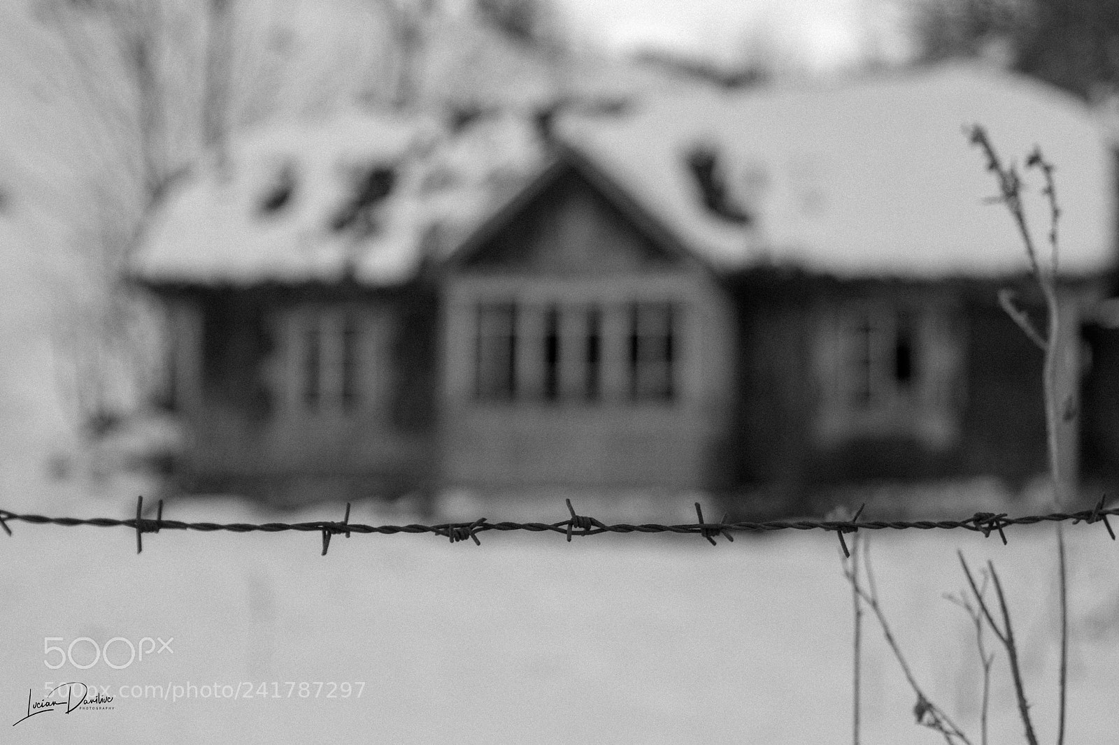 Nikon D7100 sample photo. Barbed wire shed photography