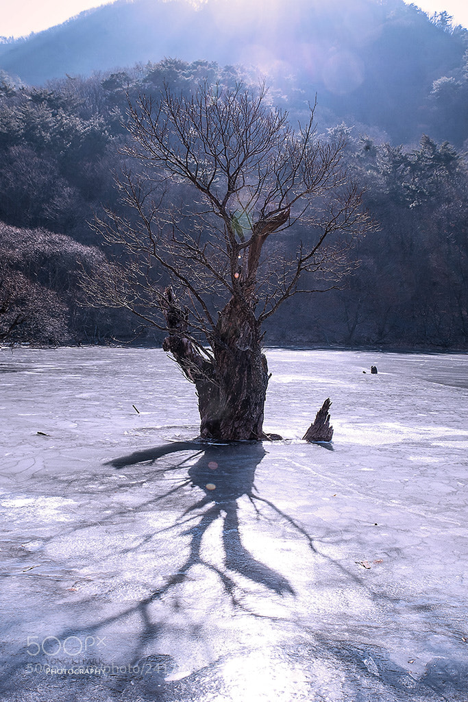 Pentax K-1 sample photo. Winter of the small photography