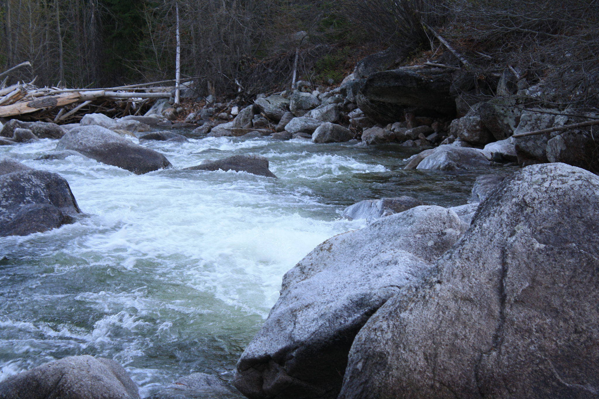 Canon EOS 1000D (EOS Digital Rebel XS / EOS Kiss F) sample photo. [] photography