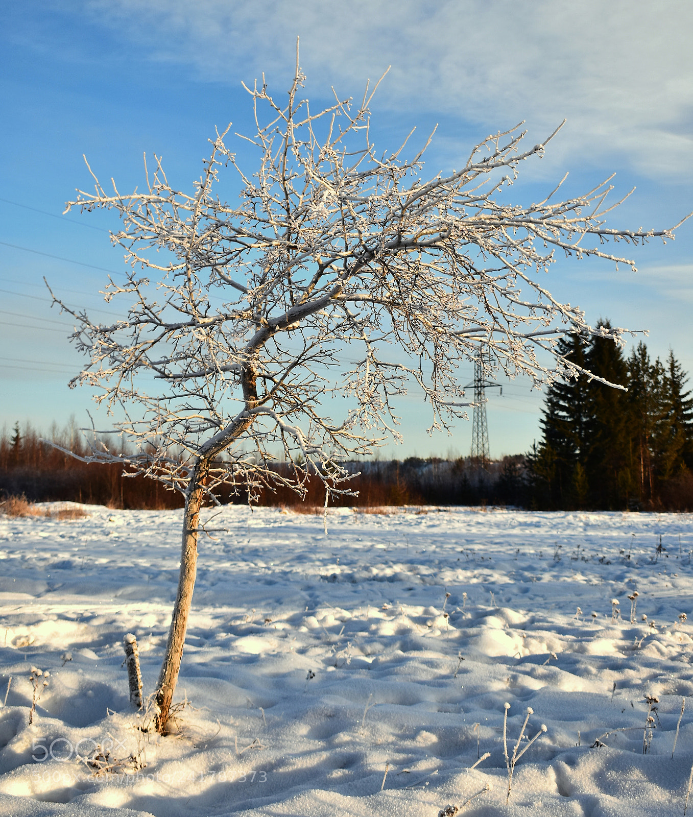 Nikon D3400 sample photo. Отшельник photography