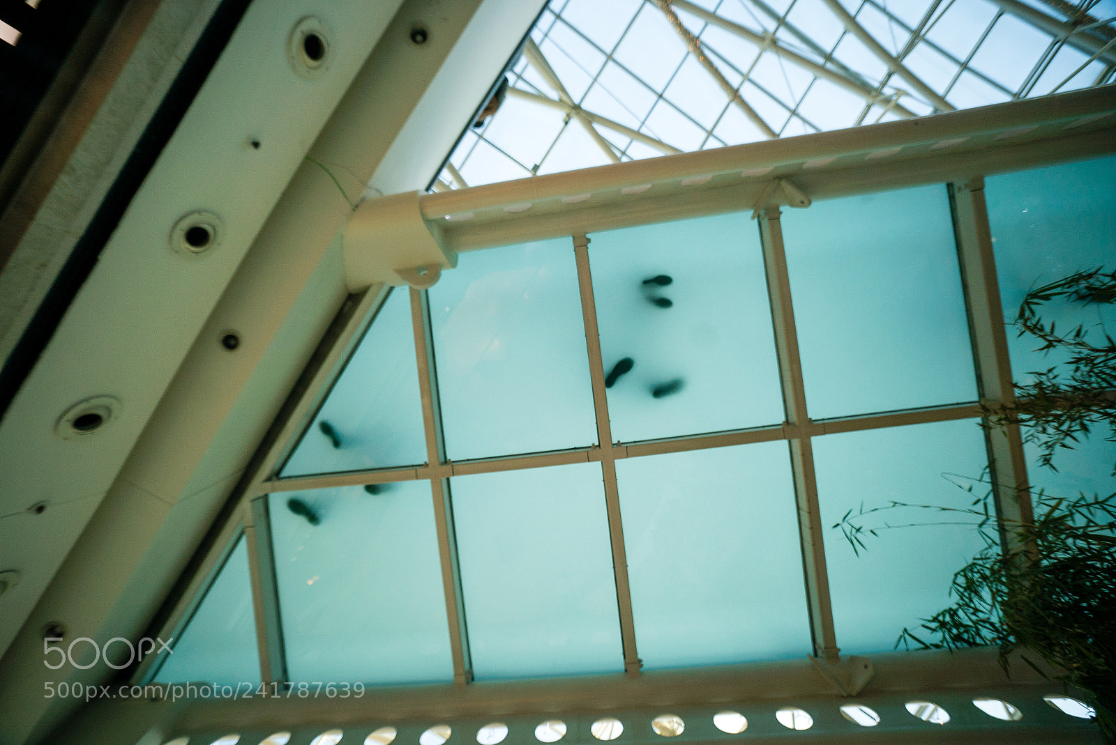 Sony a7S II sample photo. Lisbon december raw photography