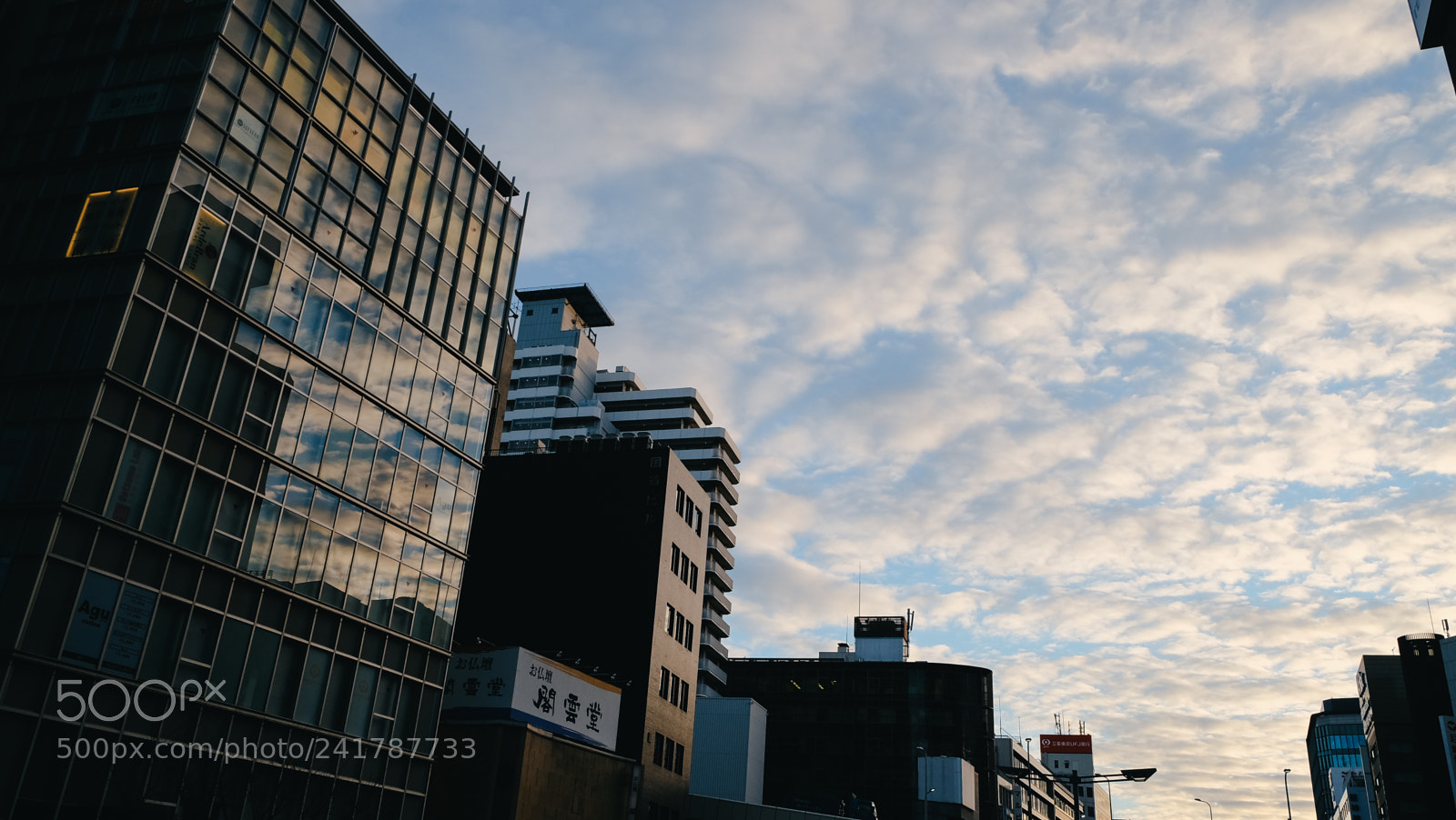 Fujifilm X-T10 sample photo. Dscf photography