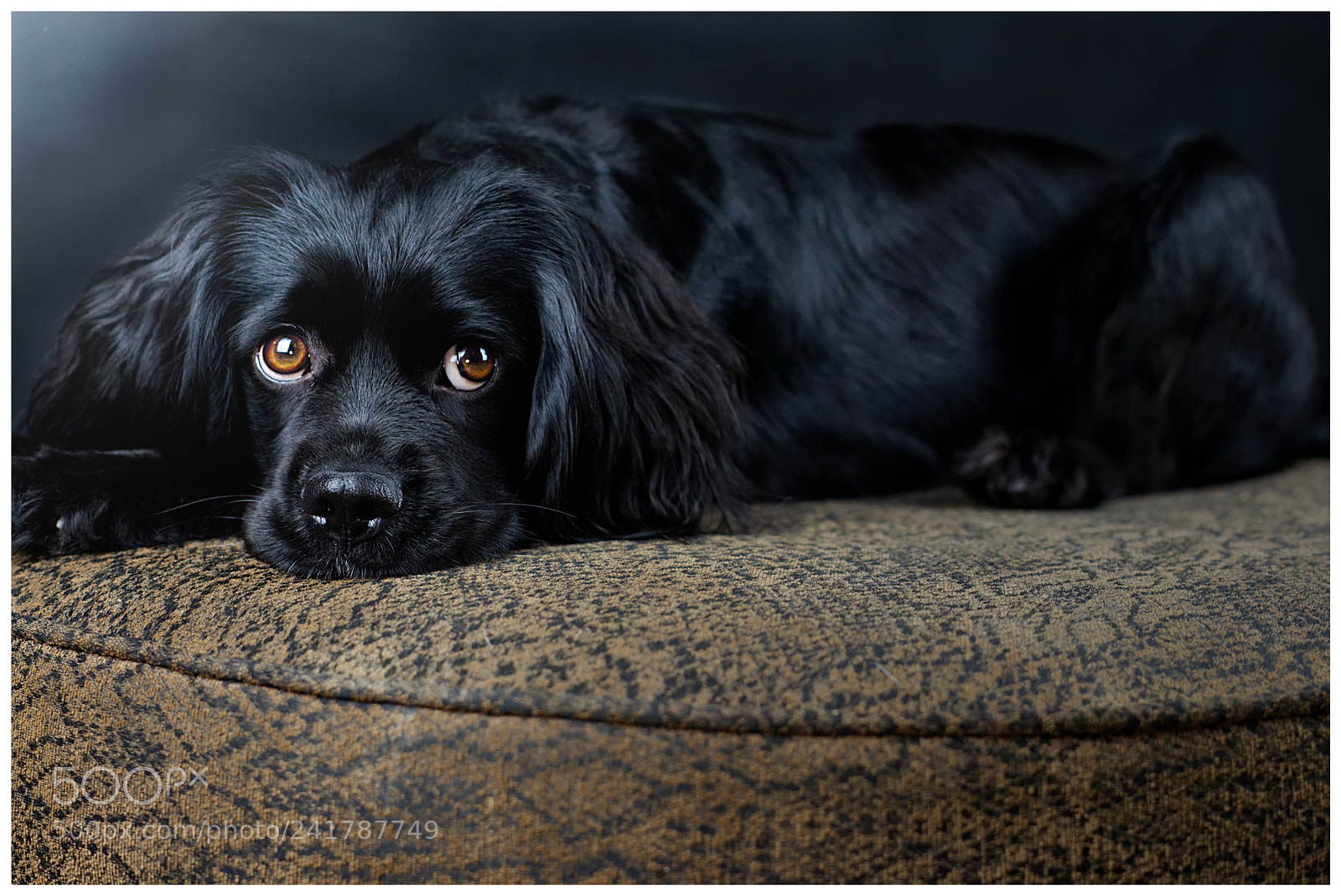 Sony a7 II sample photo. Fotoshooting mit balou photography