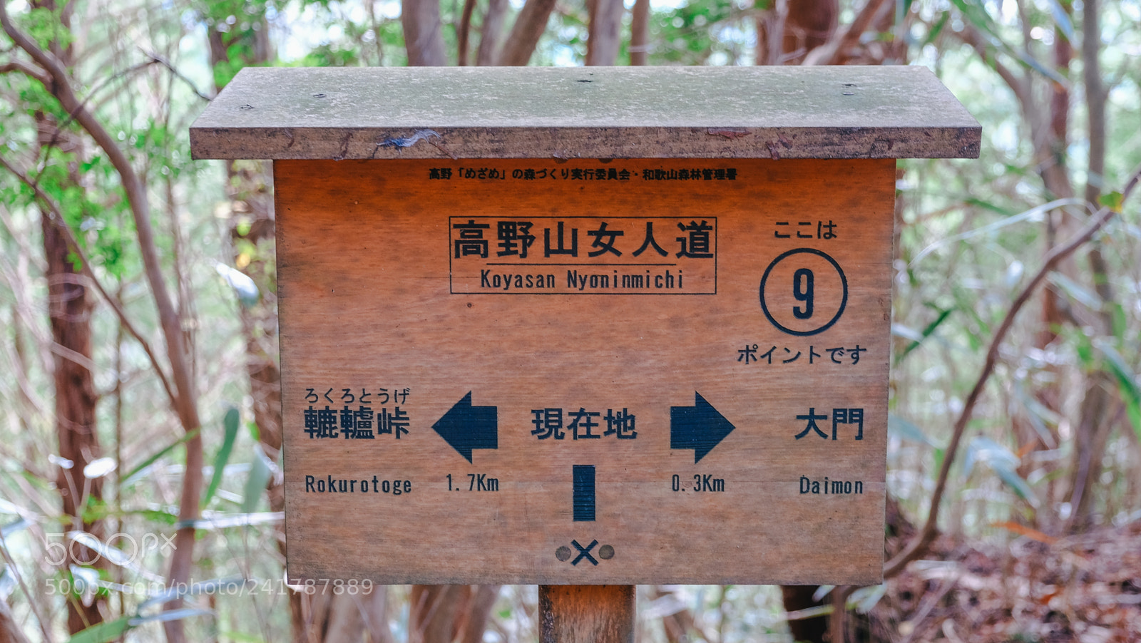 Fujifilm X-T10 sample photo. Dscf photography