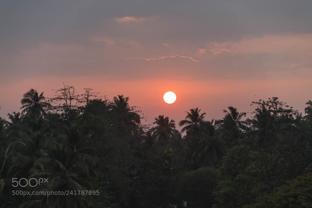 Nikon D850 sample photo. Kozhikode photography