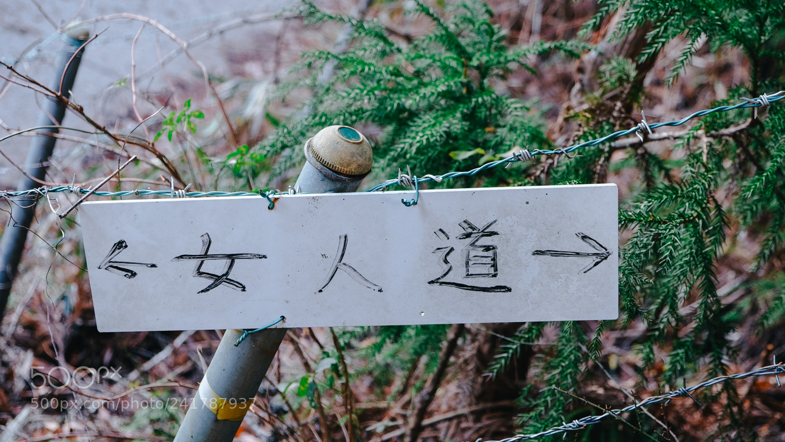 Fujifilm X-T10 sample photo. Dscf photography