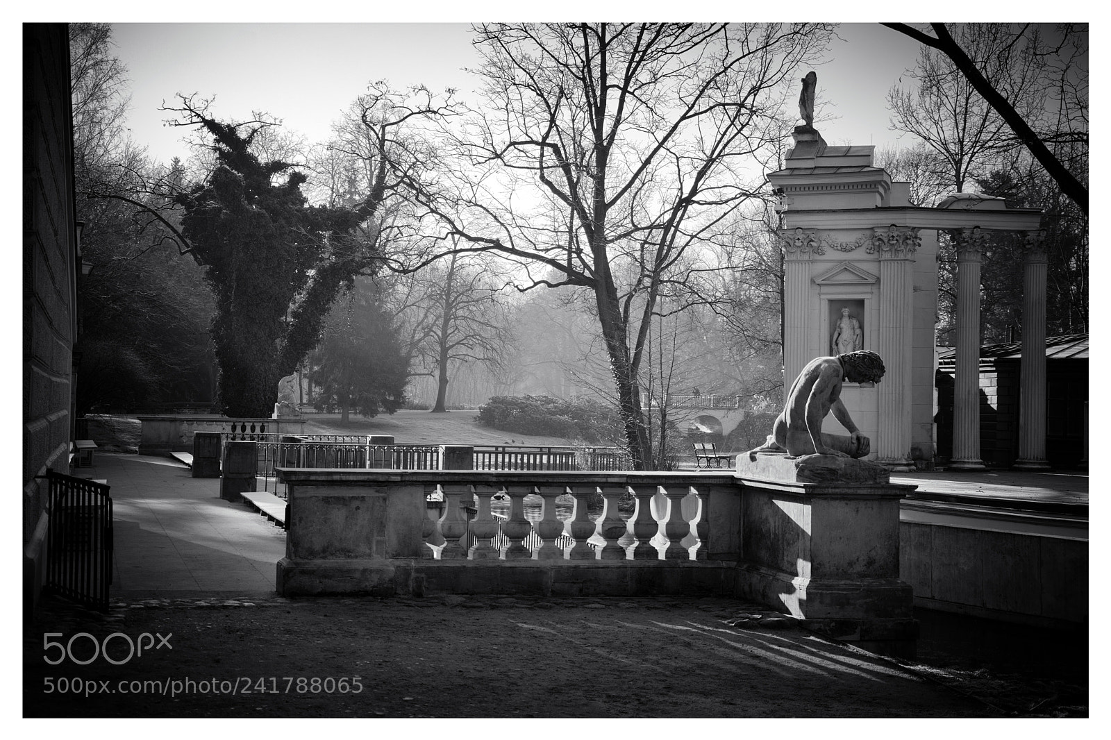 Nikon D7100 sample photo. Łazienki królewskie photography