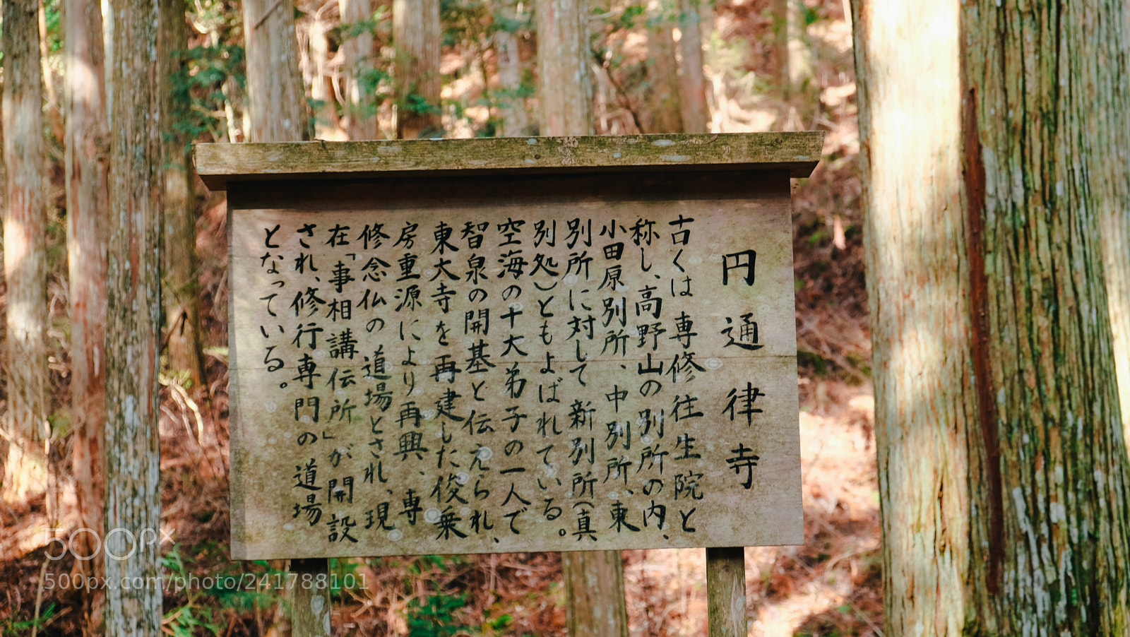 Fujifilm X-T10 sample photo. Dscf photography