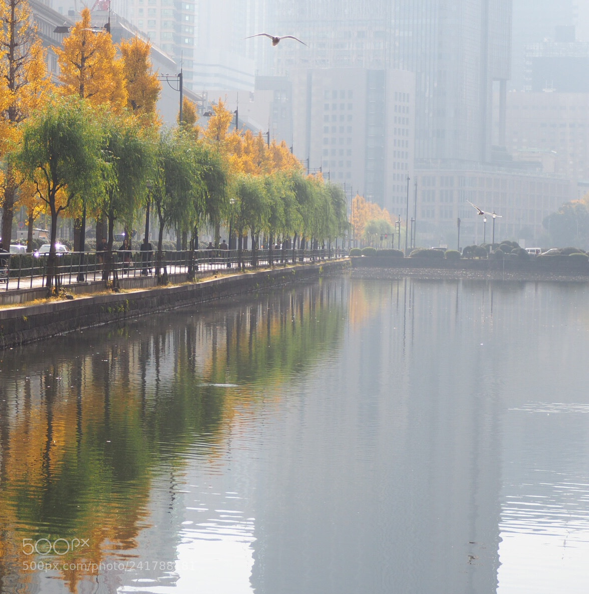 Olympus OM-D E-M10 II sample photo. Quiet foggy morning photography