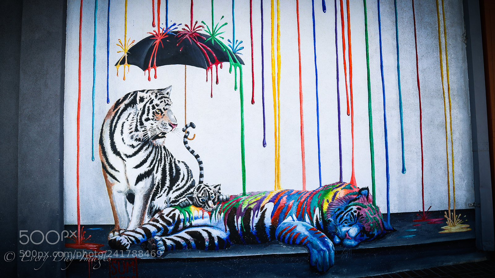 Canon EOS 6D Mark II sample photo. Stripes photography