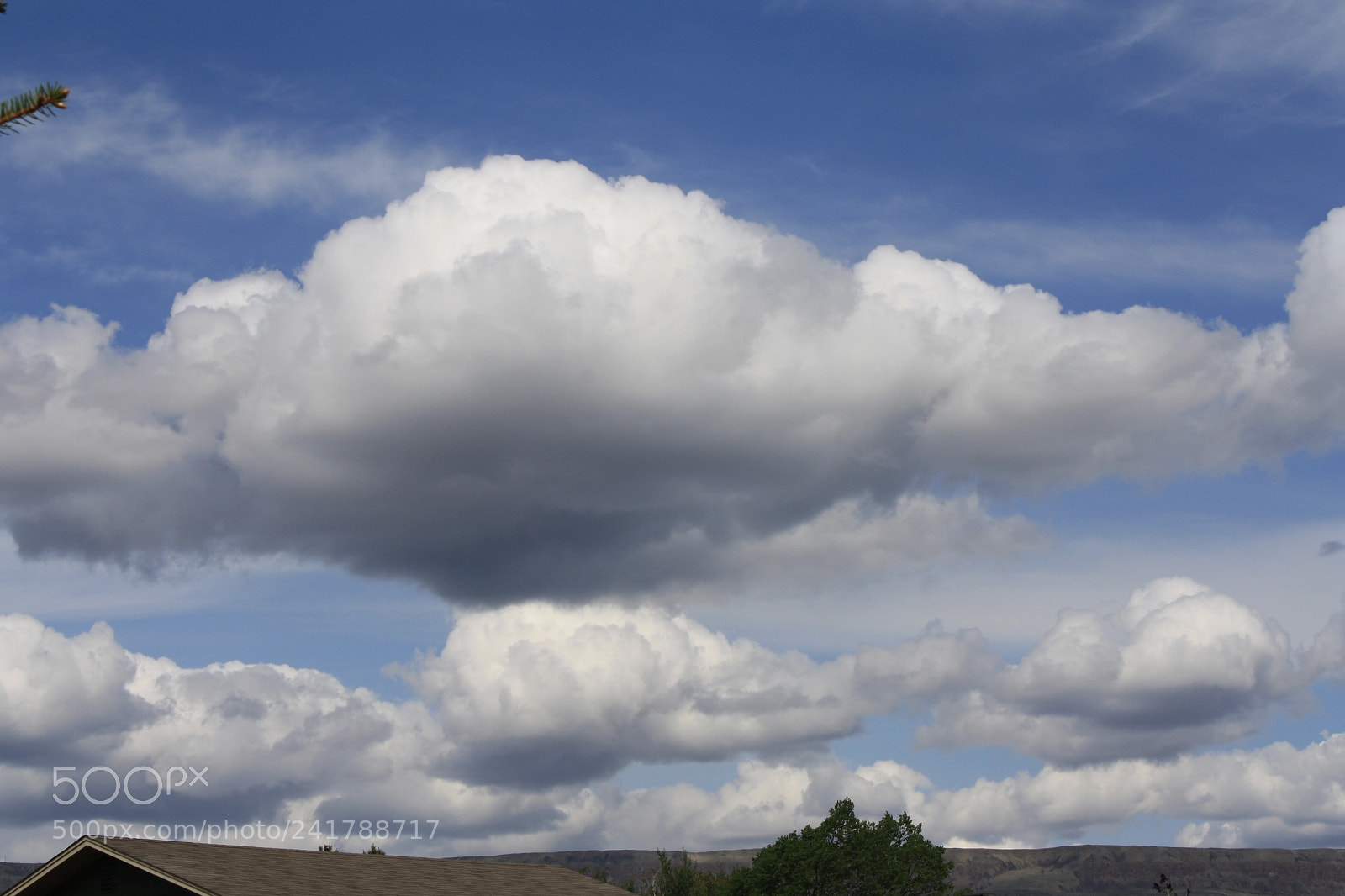 Canon EOS 1000D (EOS Digital Rebel XS / EOS Kiss F) sample photo. [] photography