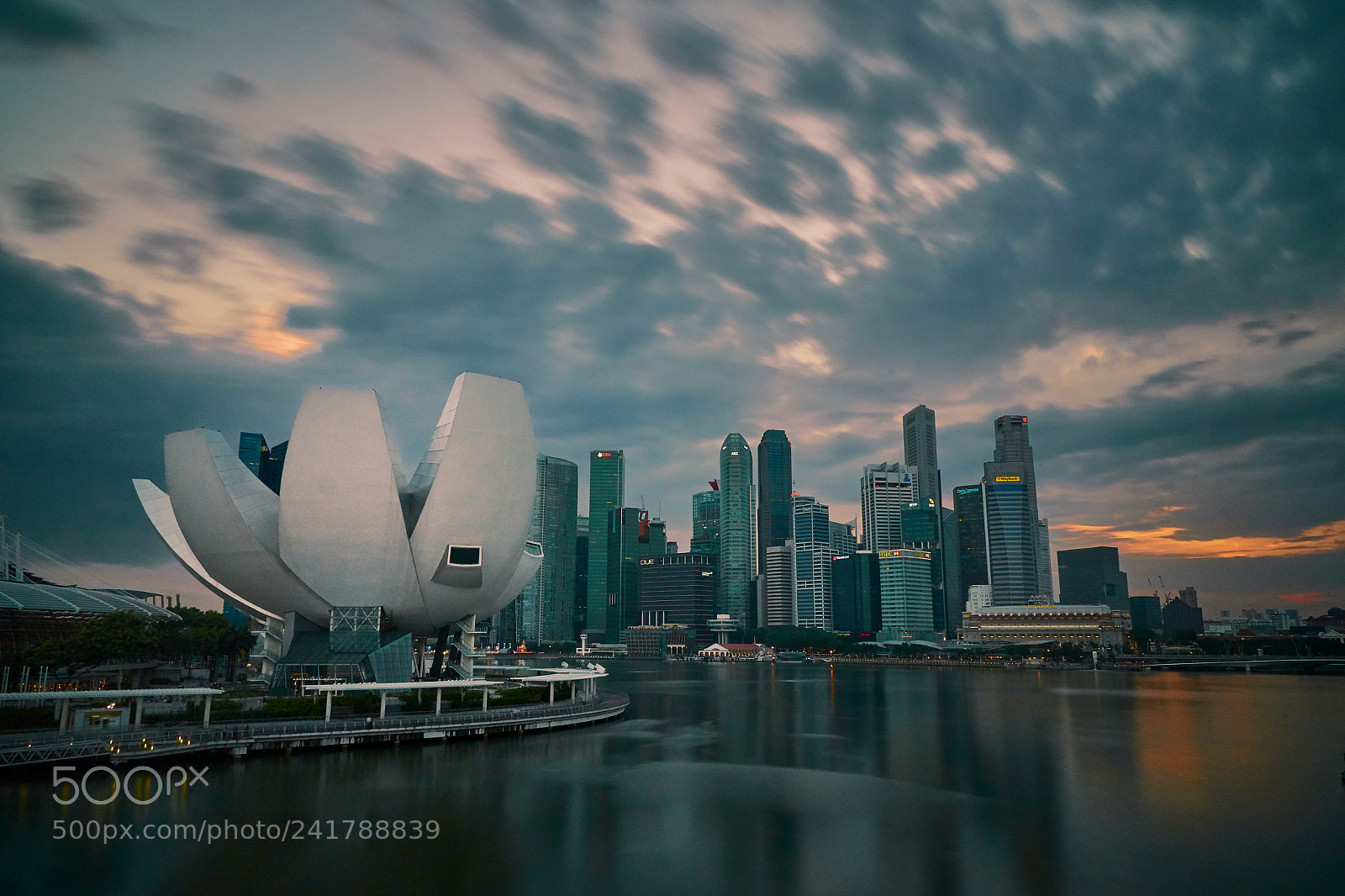 Sony a6500 sample photo. The singapore lotus photography