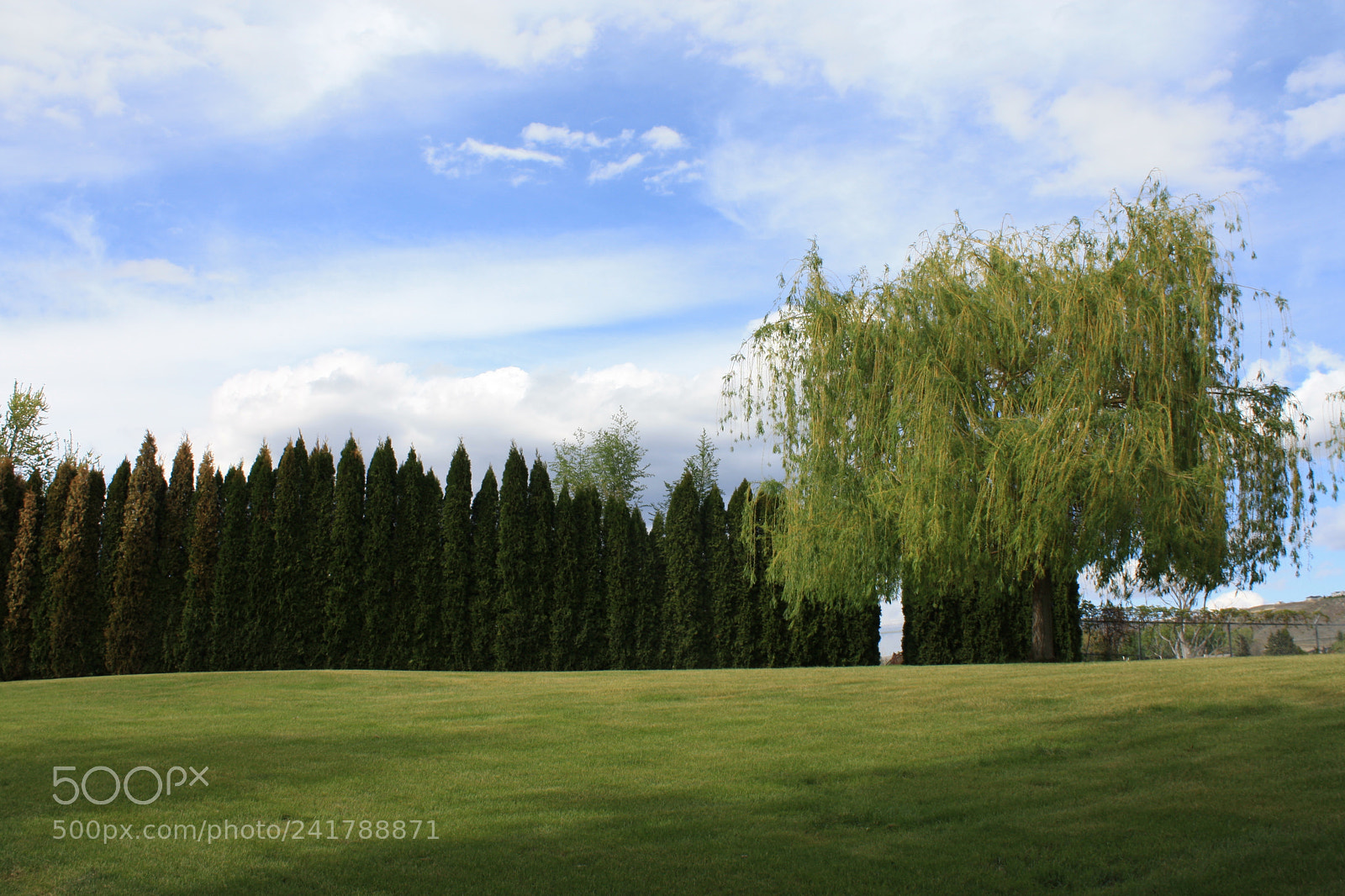 Canon EOS 1000D (EOS Digital Rebel XS / EOS Kiss F) sample photo. [] photography