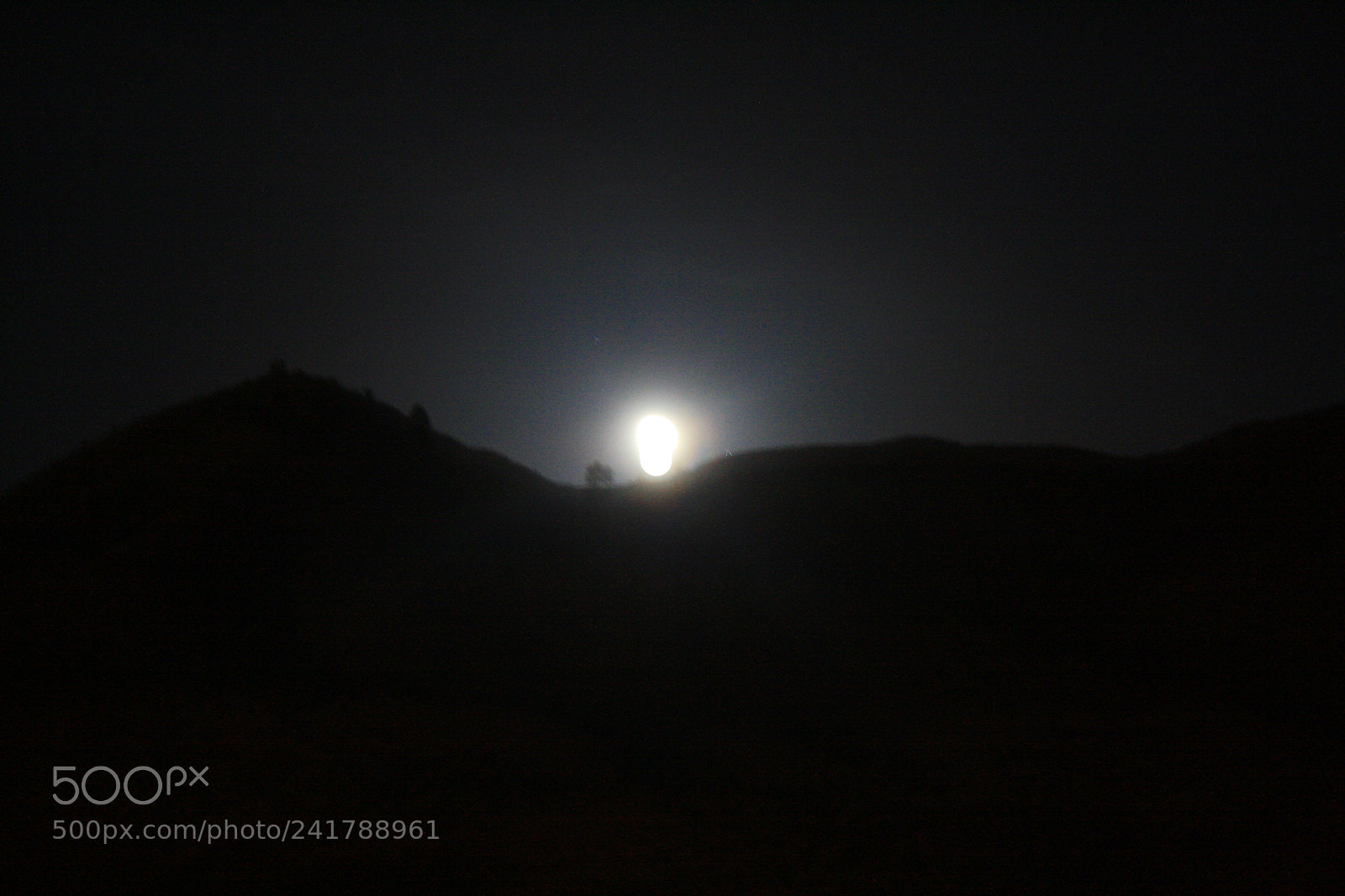 Canon EOS 1000D (EOS Digital Rebel XS / EOS Kiss F) sample photo. [] photography