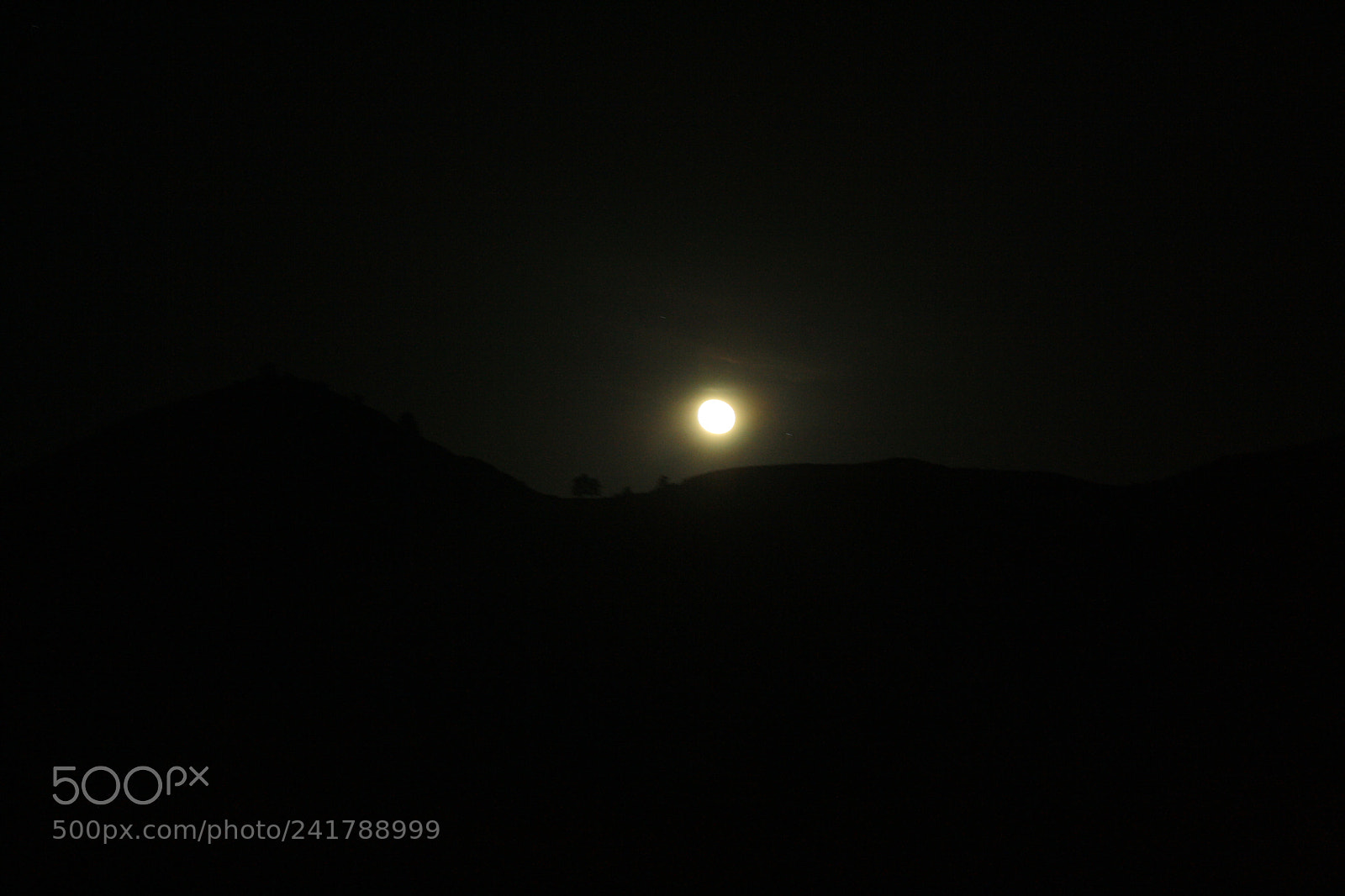 Canon EOS 1000D (EOS Digital Rebel XS / EOS Kiss F) sample photo. [] photography