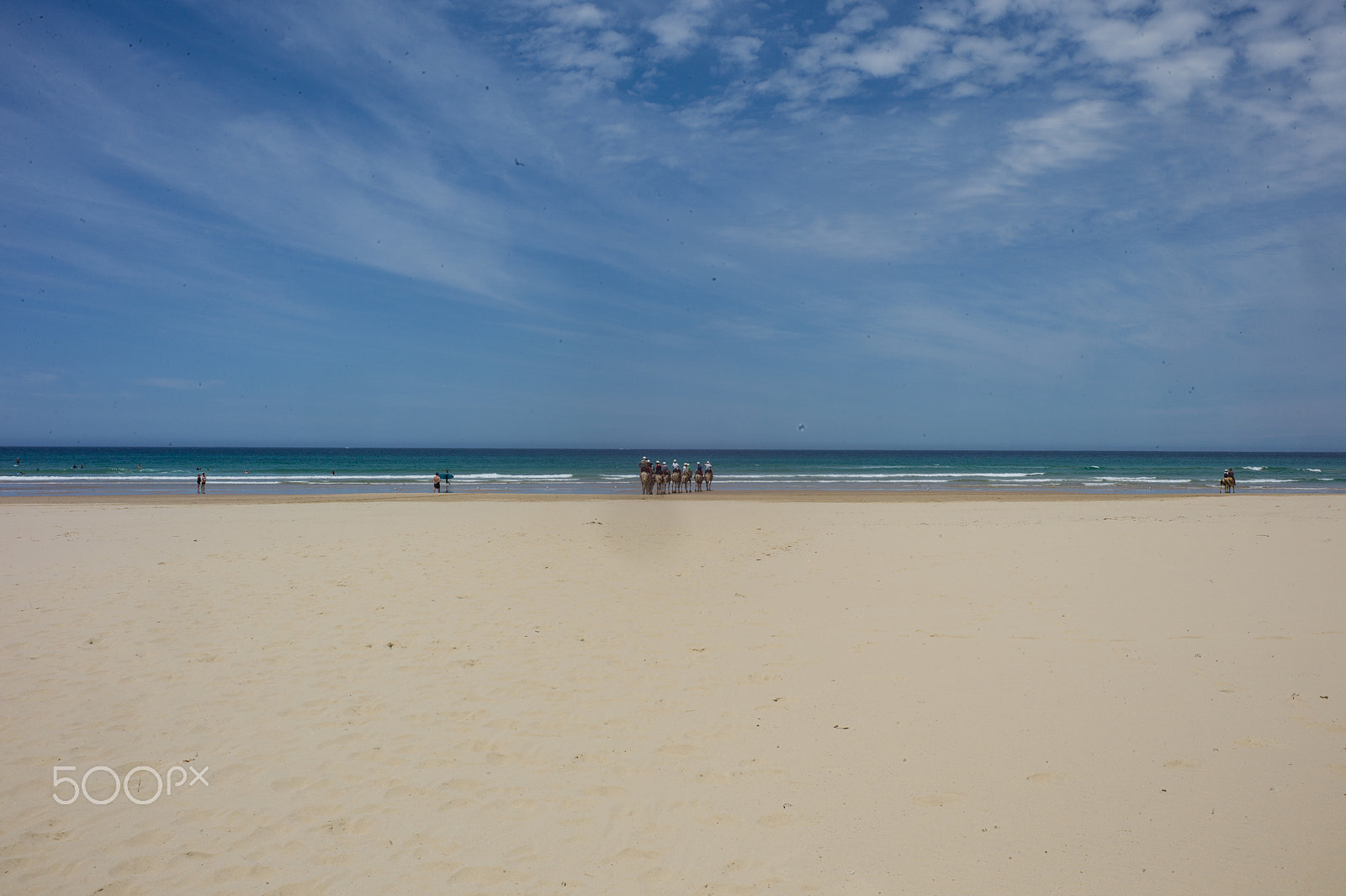 Leica M9 + Summicron-M 50mm f/2 (IV, V) sample photo. Desert at port stephens photography