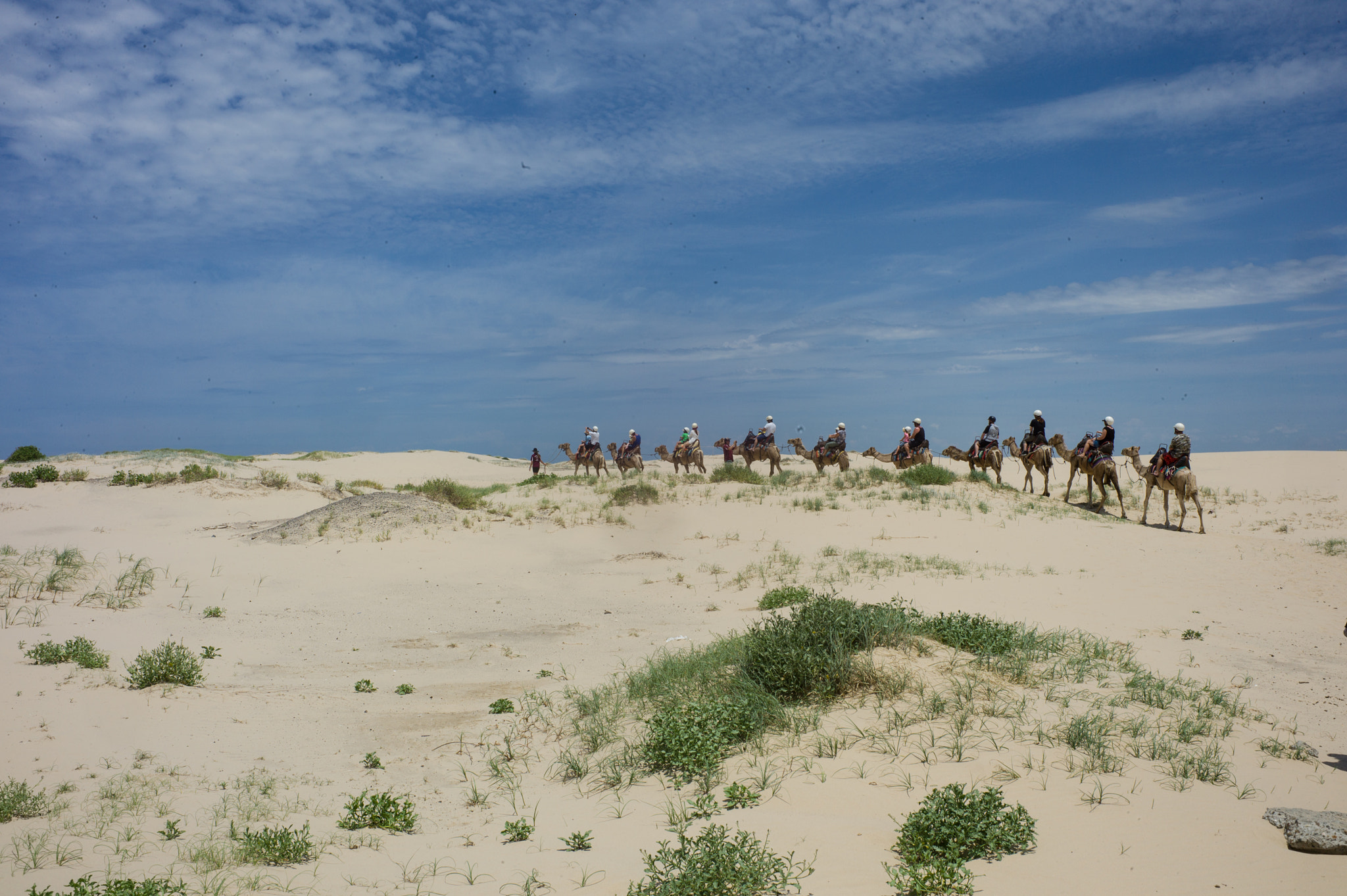 Leica M9 + Summicron-M 50mm f/2 (IV, V) sample photo. Desert at port stephens photography