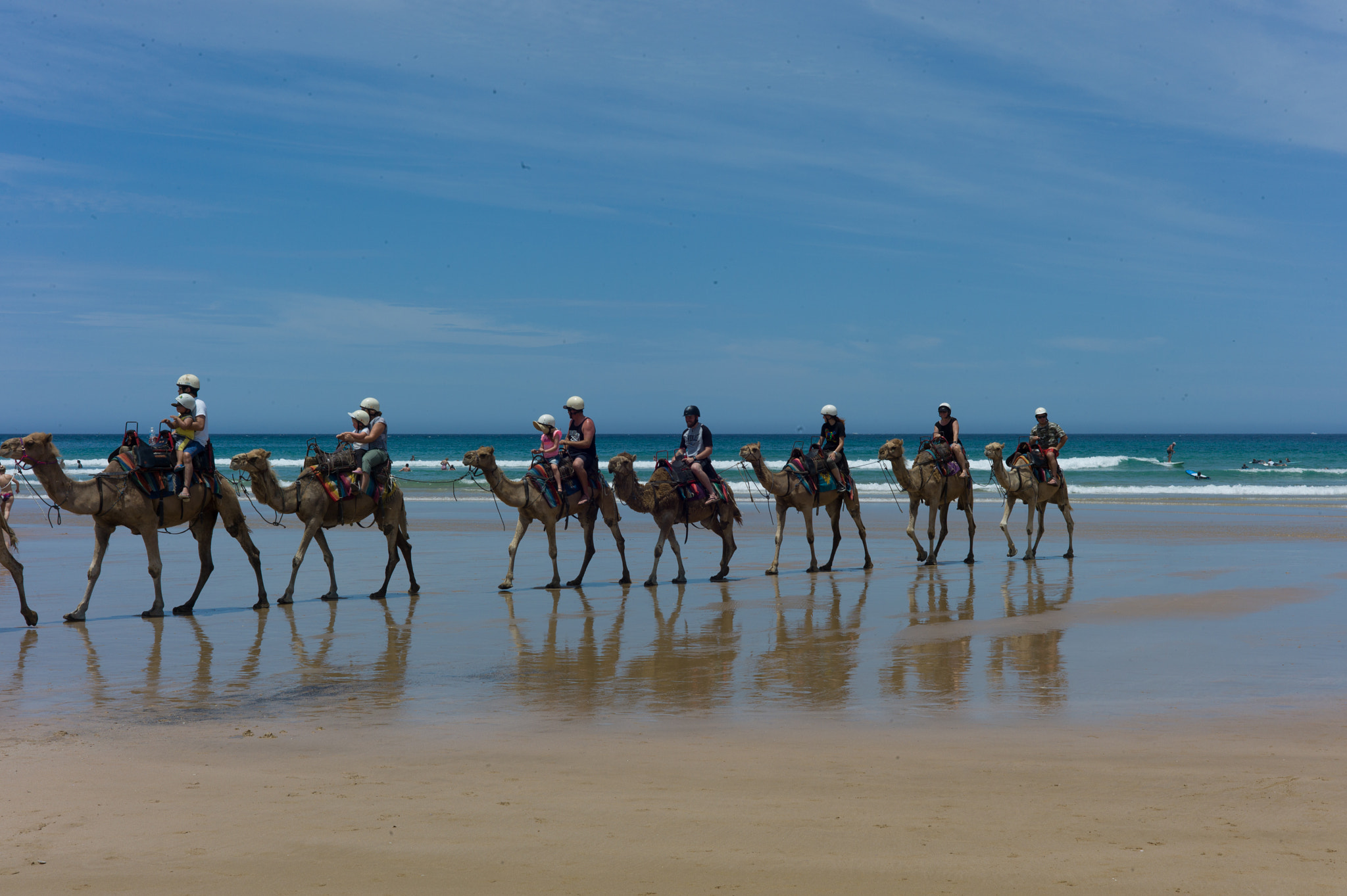 Leica M9 + Summicron-M 50mm f/2 (IV, V) sample photo. Desert at port stephens photography