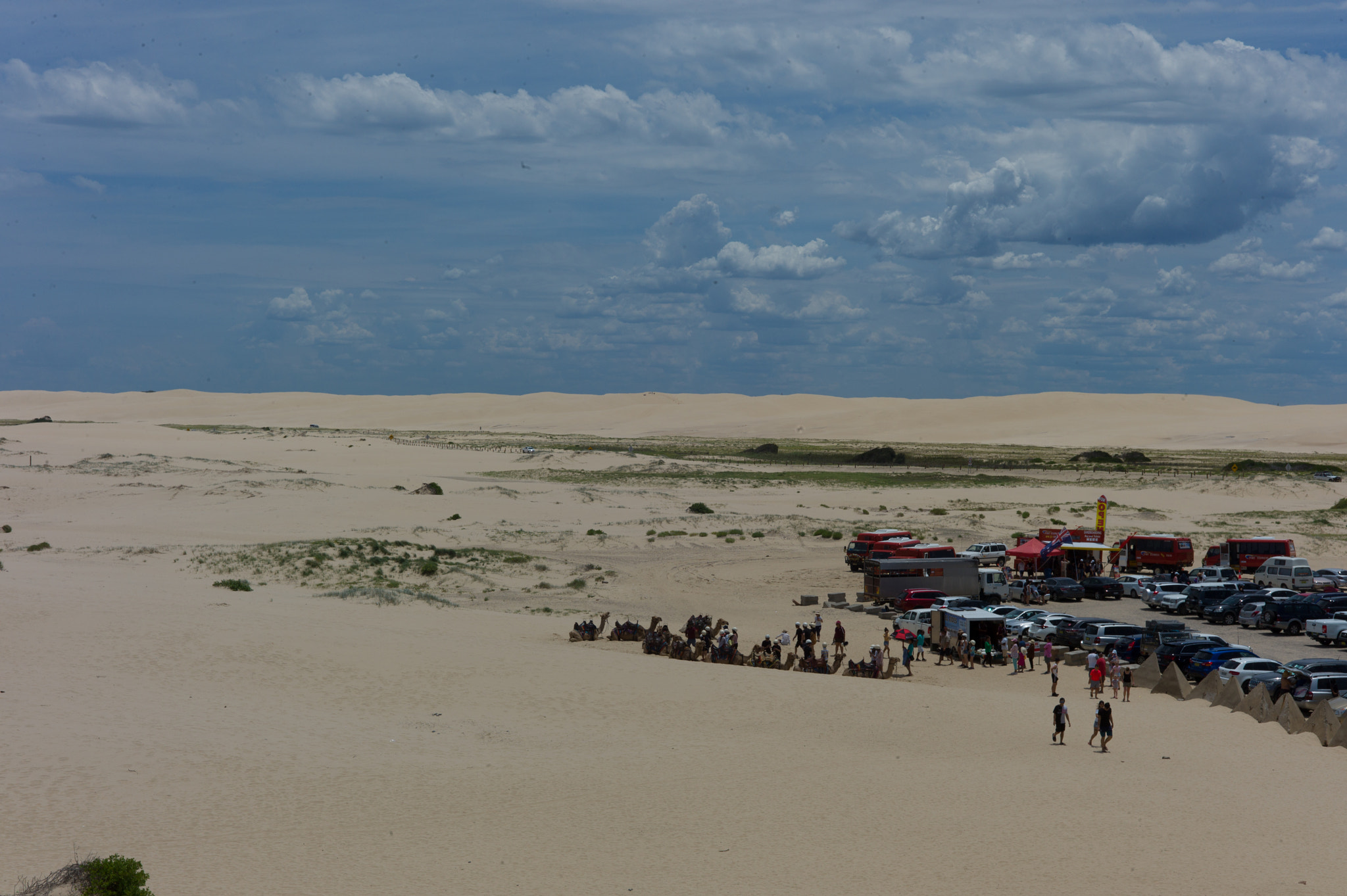 Summicron-M 50mm f/2 (IV, V) sample photo. Desert at port stephens photography