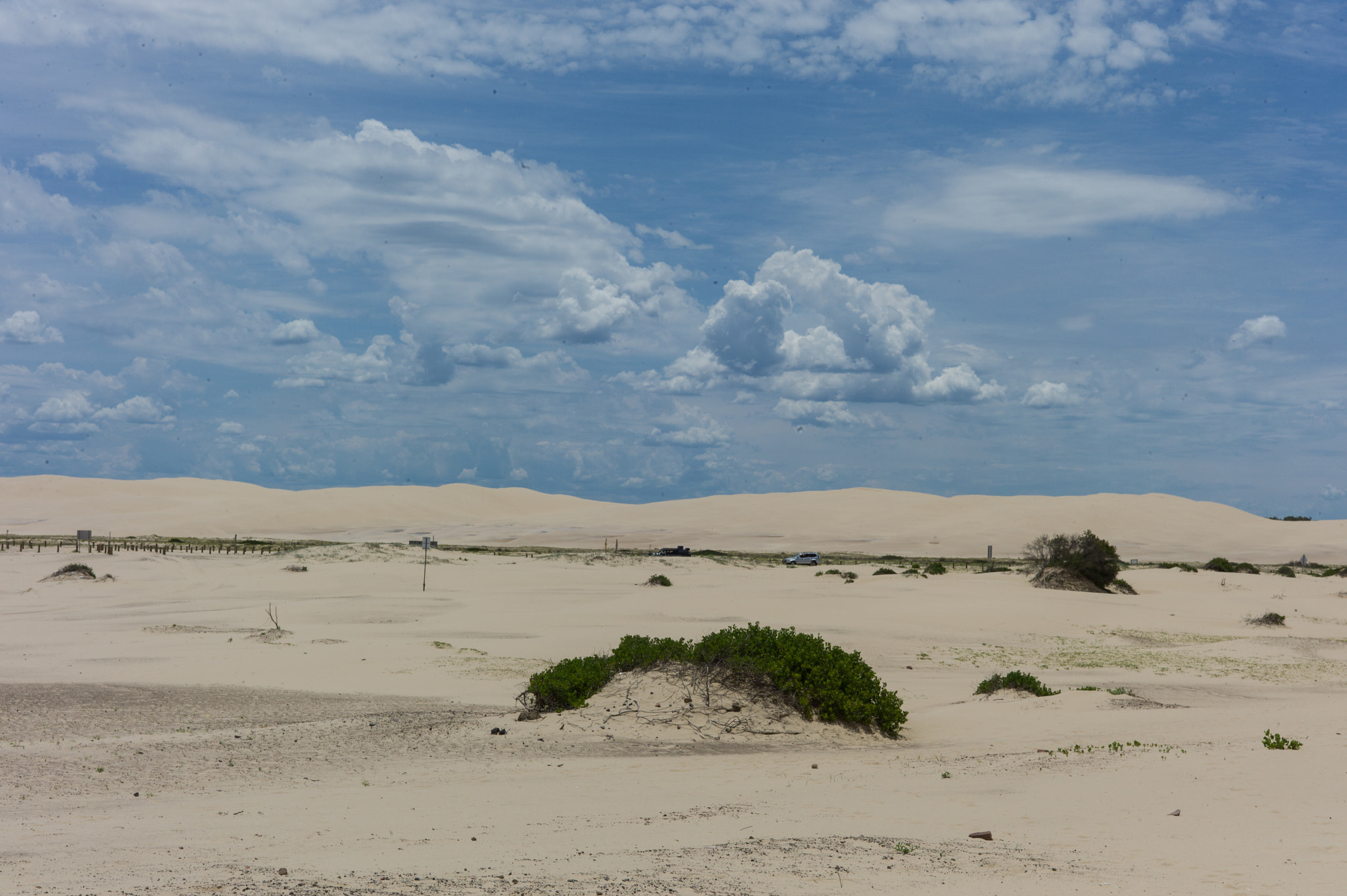 Leica M9 + Summicron-M 50mm f/2 (IV, V) sample photo. Desert at port stephens photography