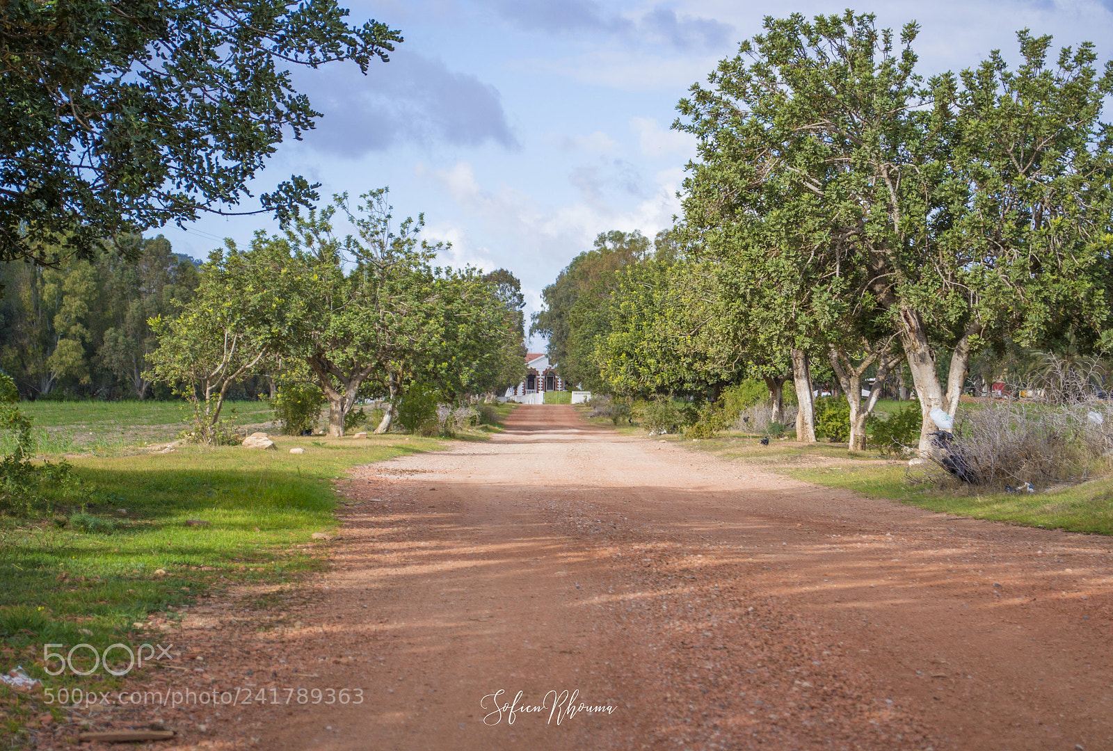 Nikon D3100 sample photo. On the road to photography