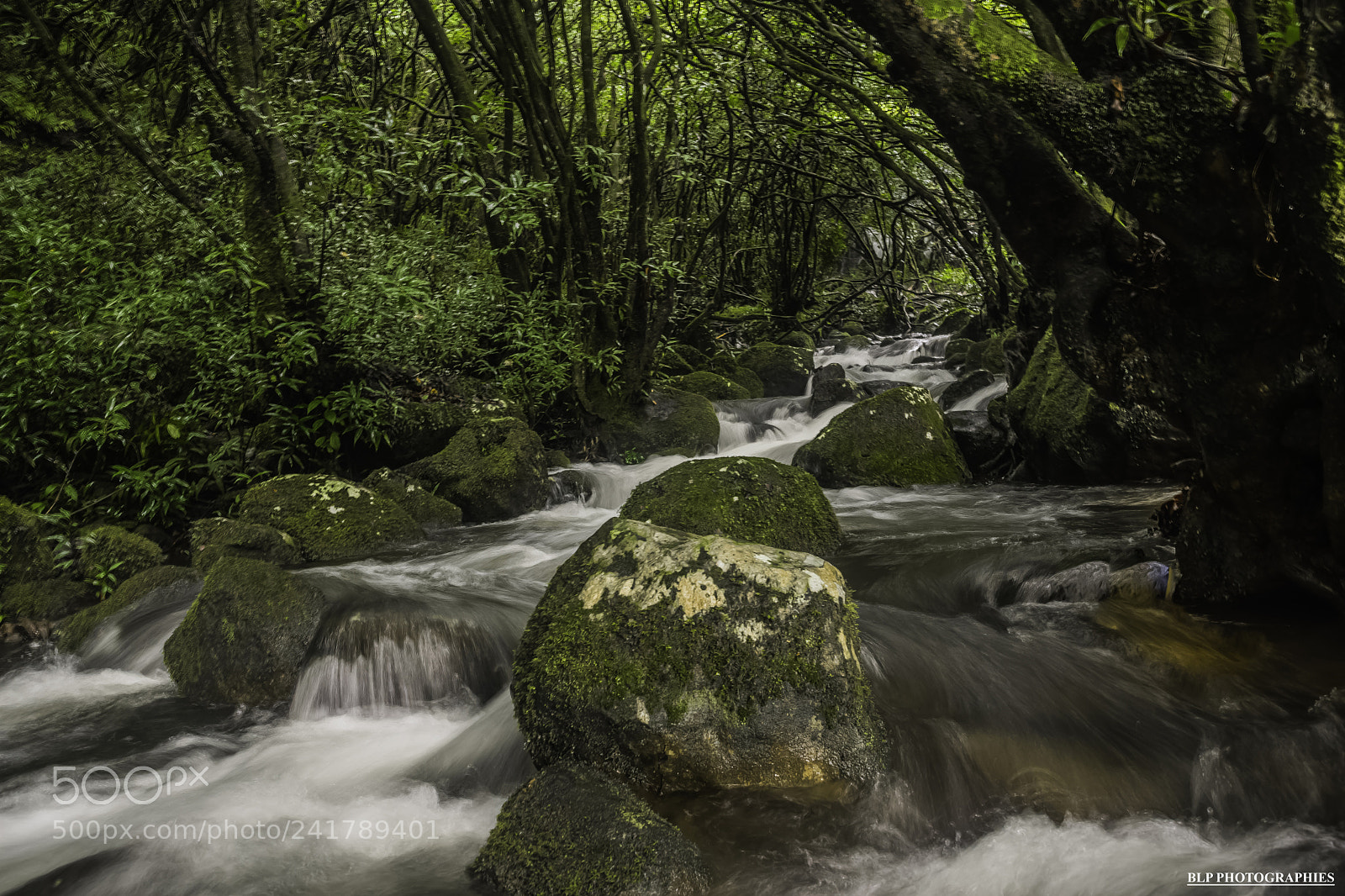 Nikon D7200 sample photo. Ravine batardeau photography