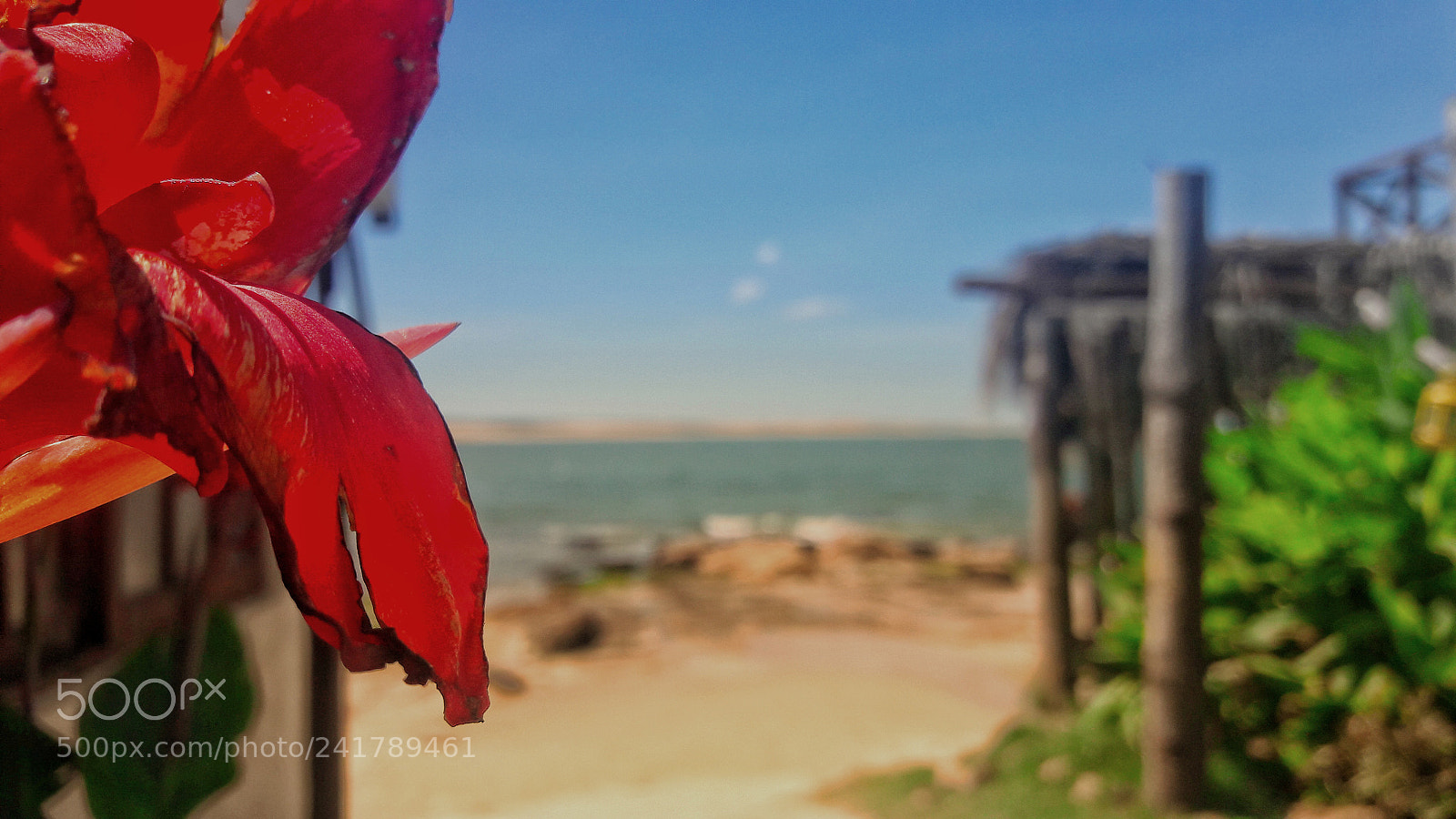 Samsung Galaxy J7 sample photo. The pearl photography