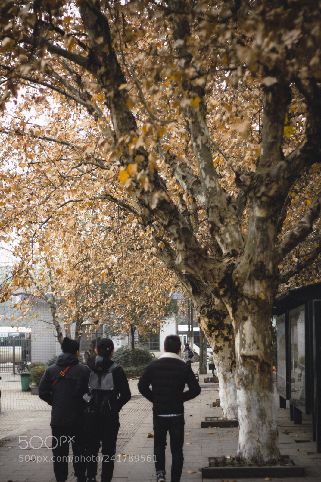 Canon EOS 60D sample photo. Street snap photography