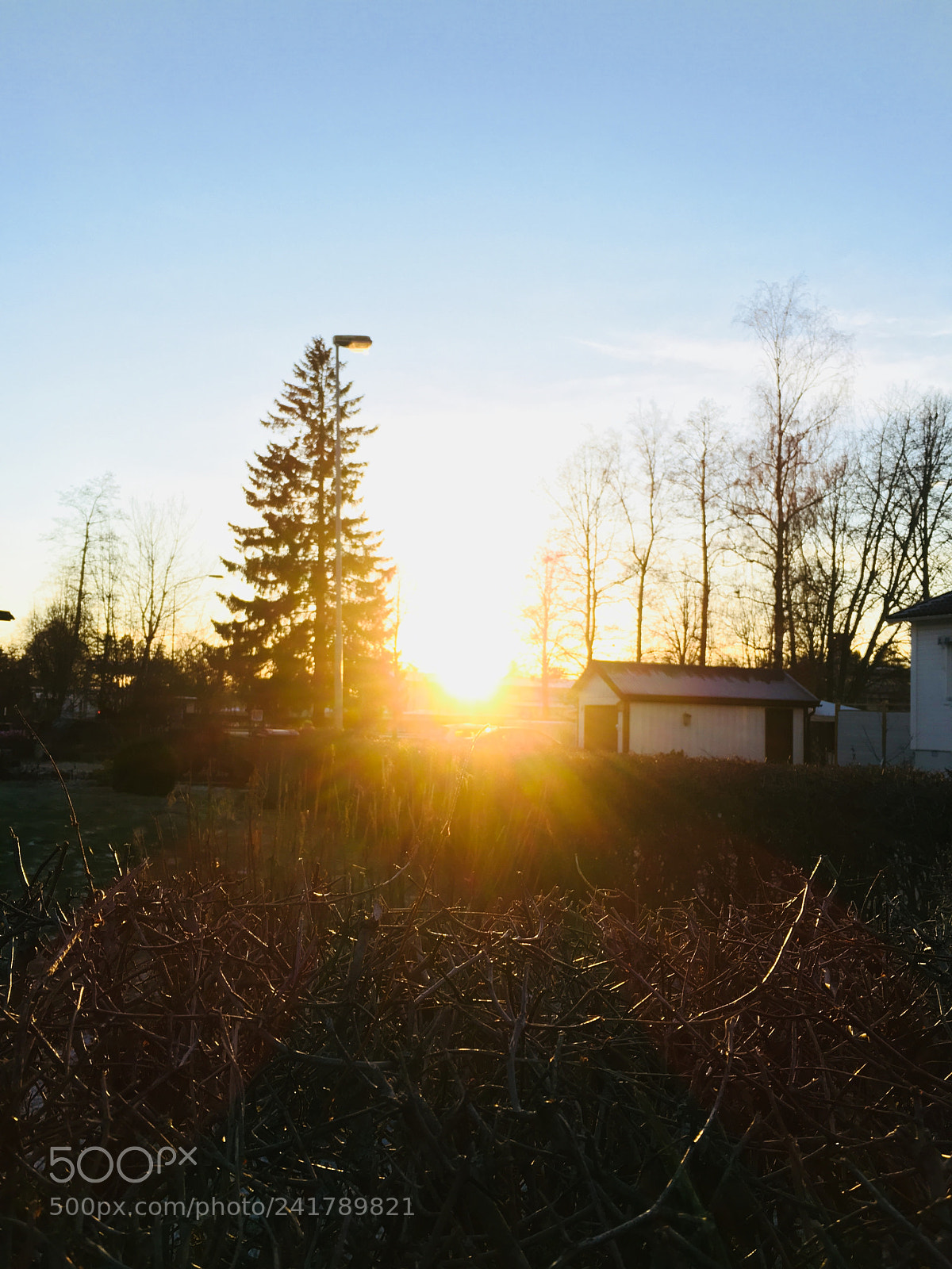 Apple iPhone 6s sample photo. Life is good photography