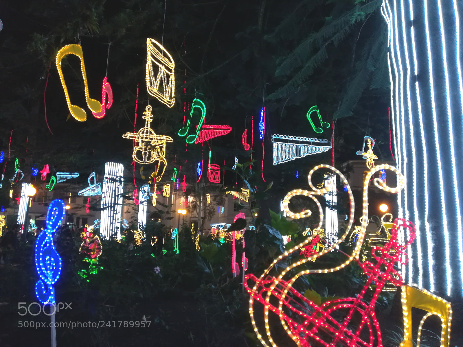 HUAWEI P10 lite sample photo. Untitled photography