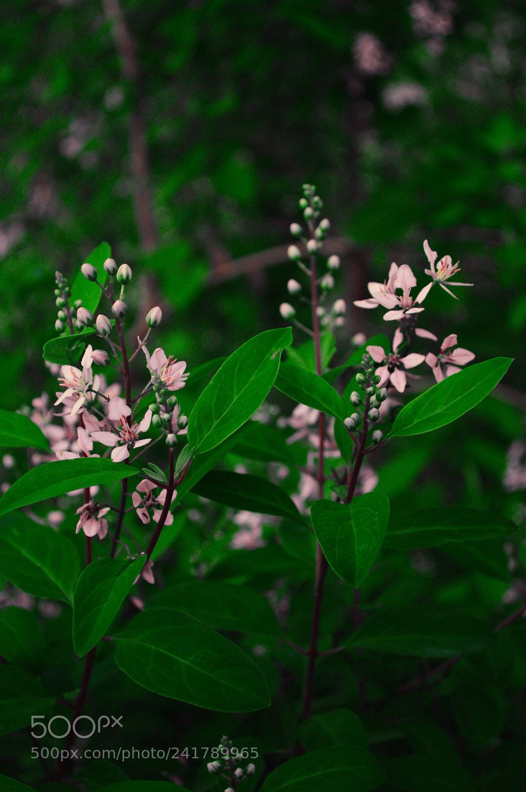 Nikon D3200 sample photo. Untitled photography