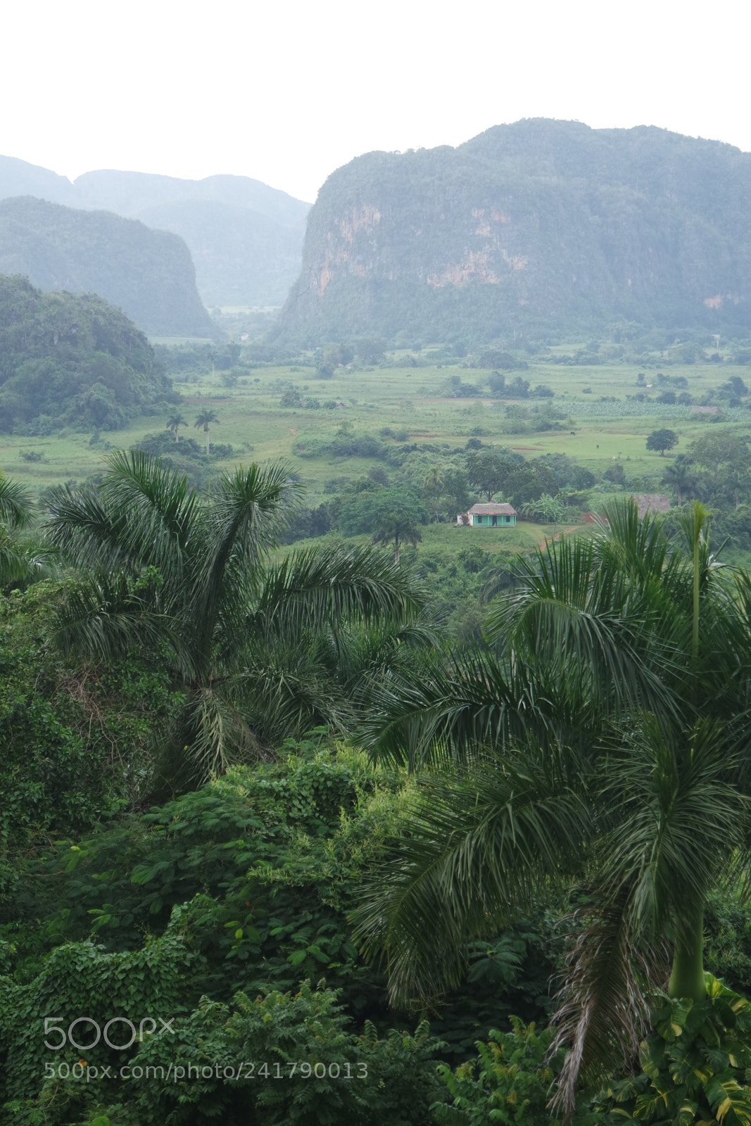 Samsung NX3000 sample photo. Mont culos en el photography