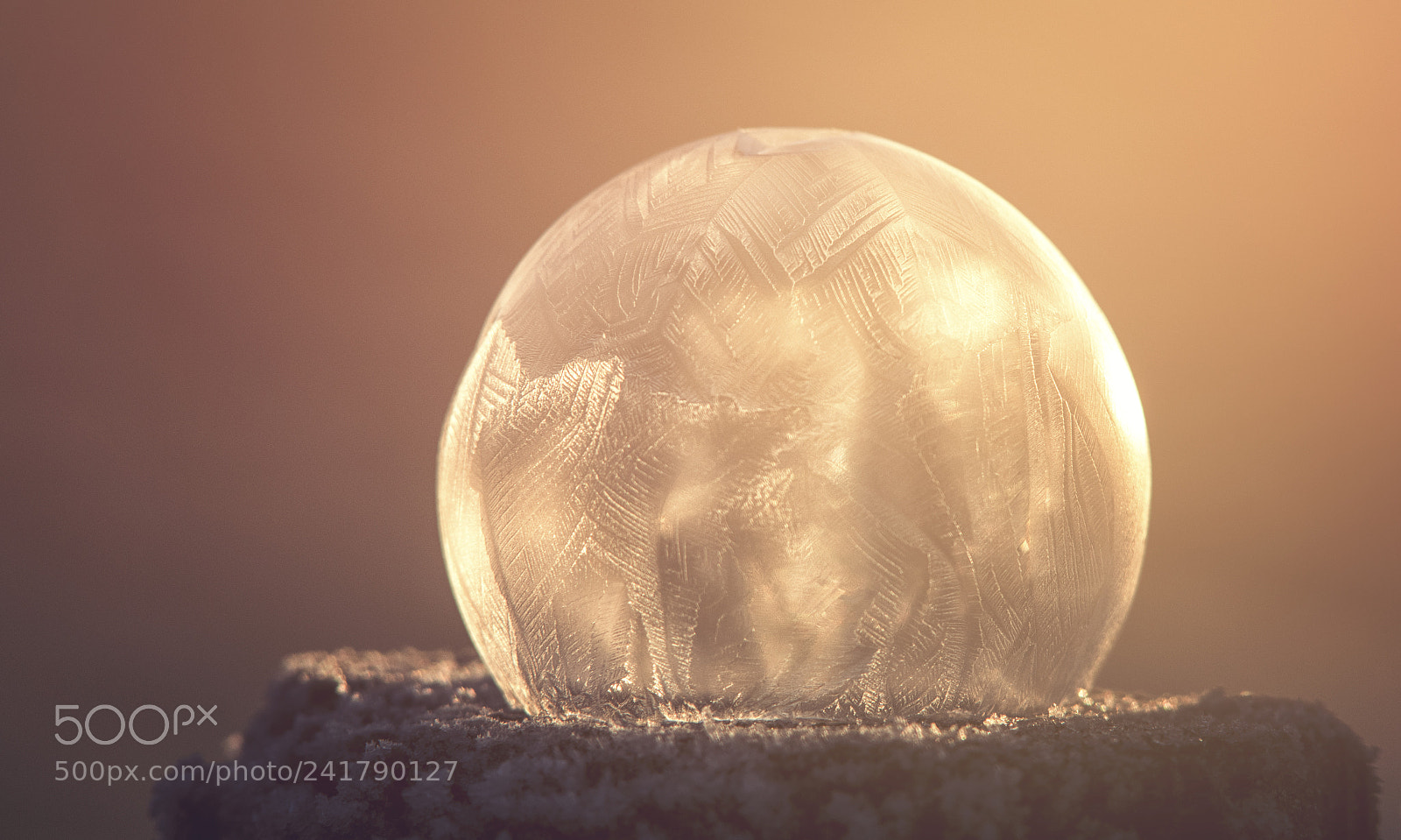 Nikon D7200 sample photo. Frozen photography