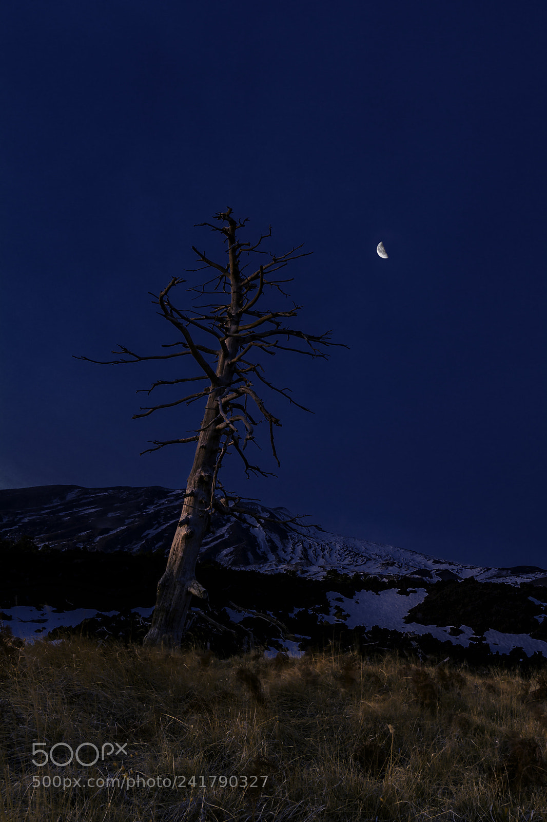 Nikon D7100 sample photo. Il richiamo della luna photography