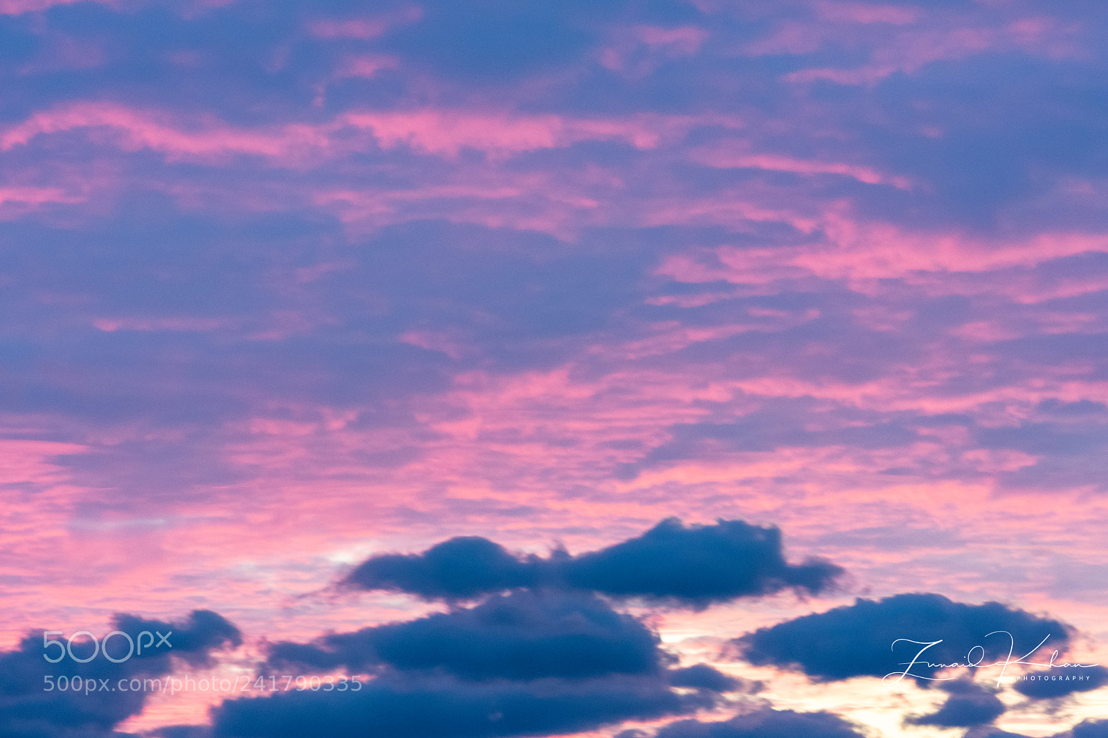 Nikon D3400 sample photo. Beautiful colours photography