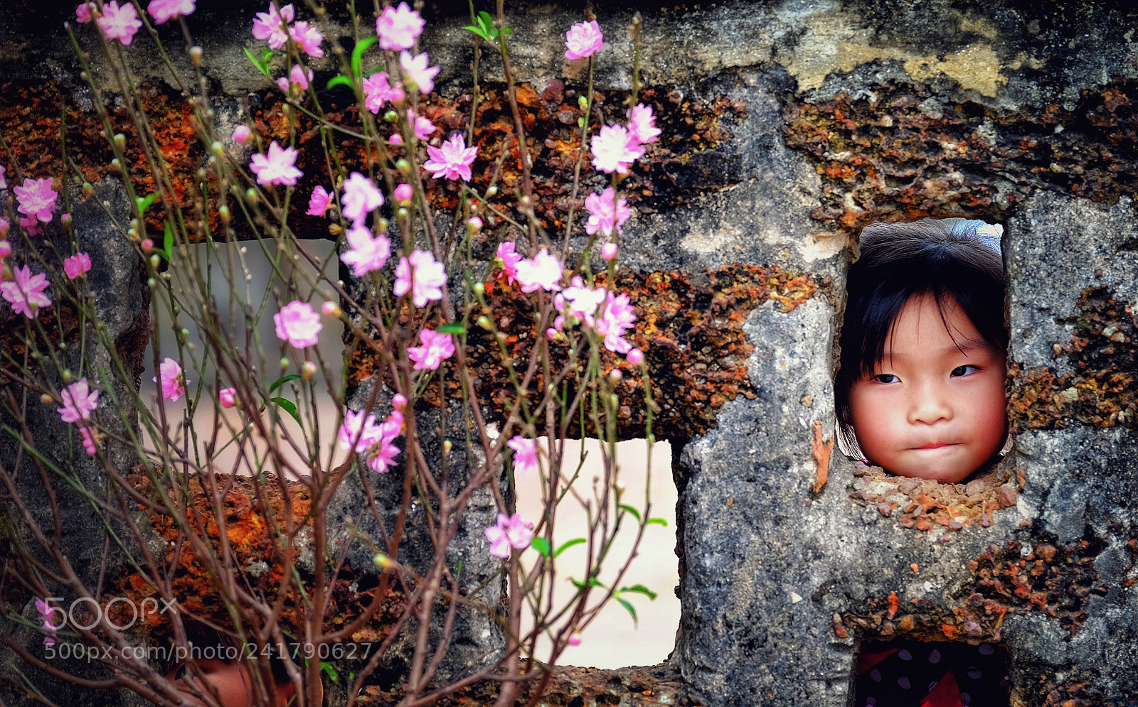 Fujifilm X-E2S sample photo. Untitled photography