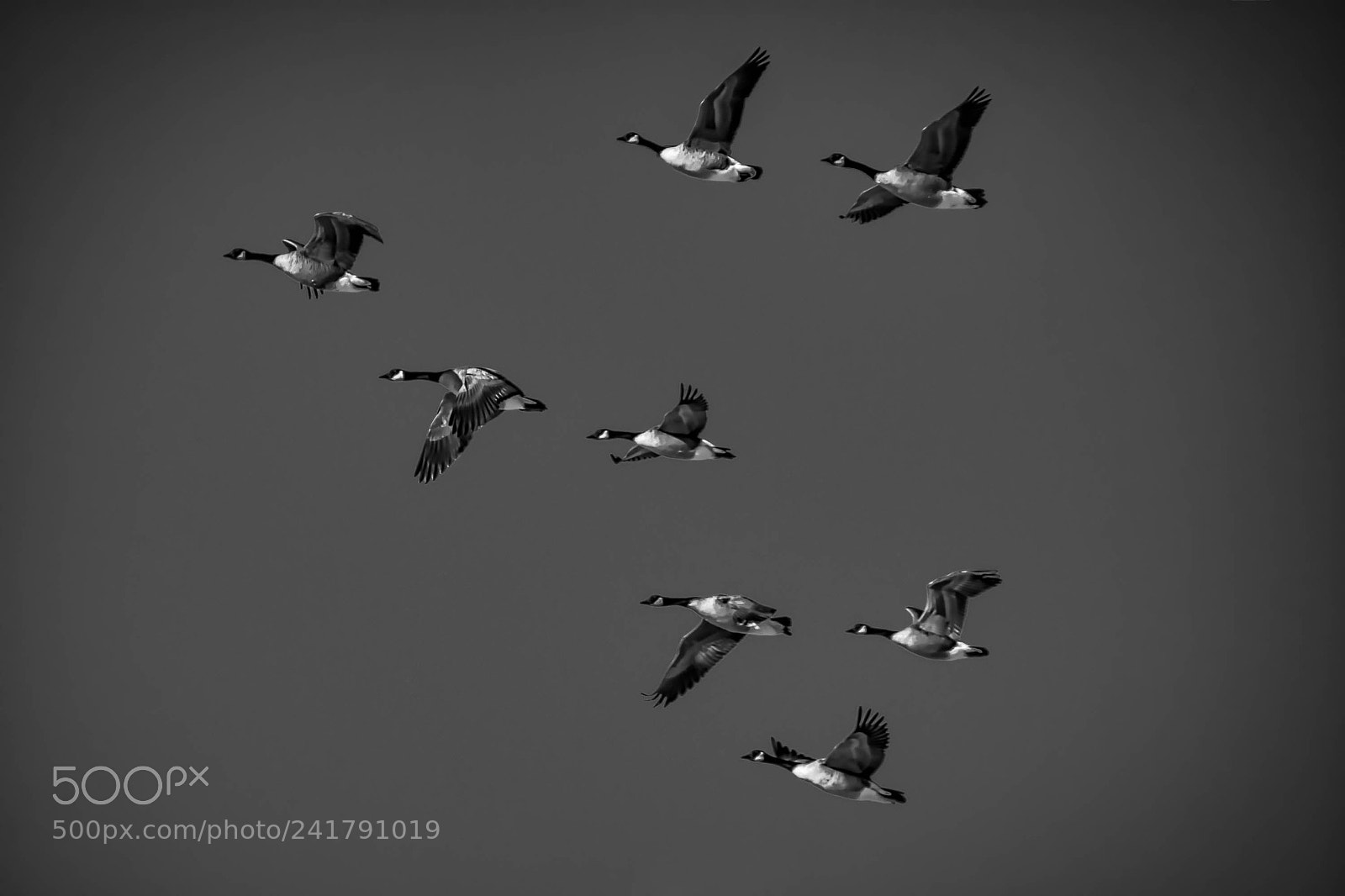 Nikon D7200 sample photo. Formation photography