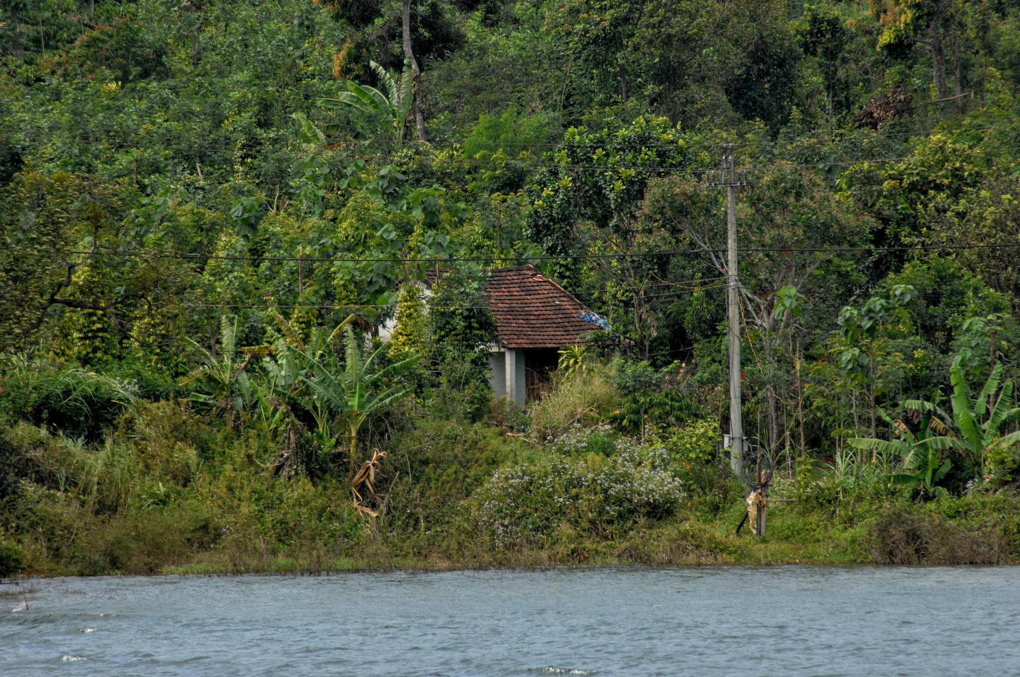 Nikon D2Xs sample photo. Dak nong vietnam photography