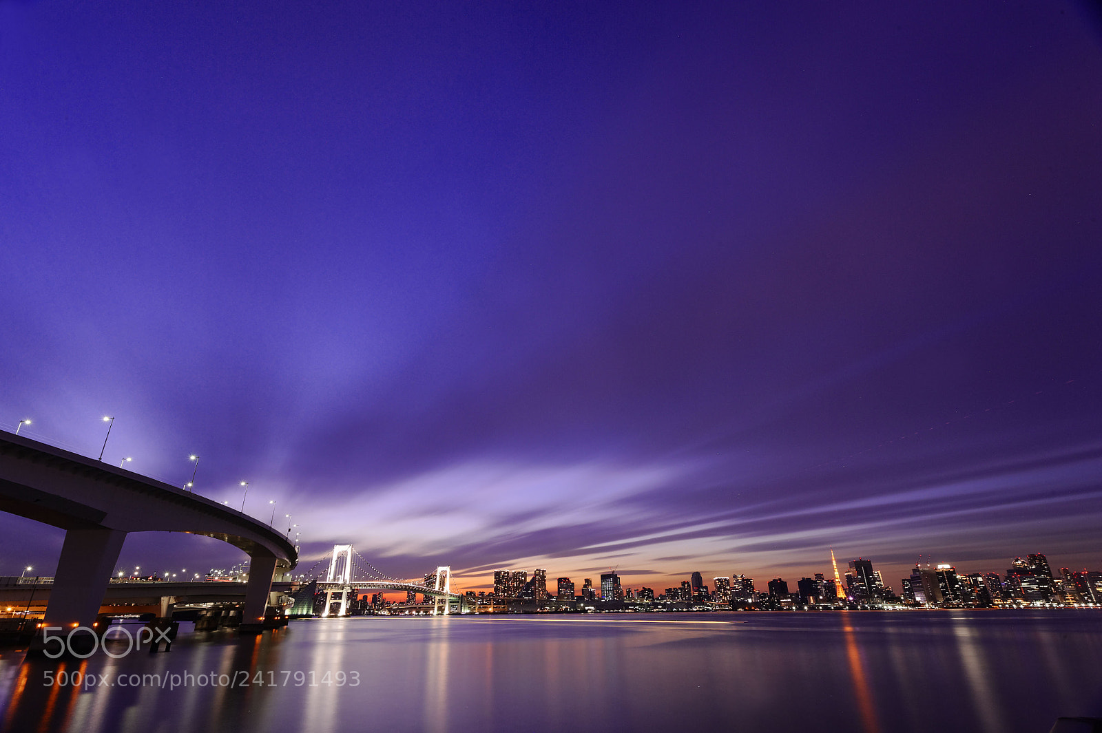 Nikon D3 sample photo. Toyosu photography