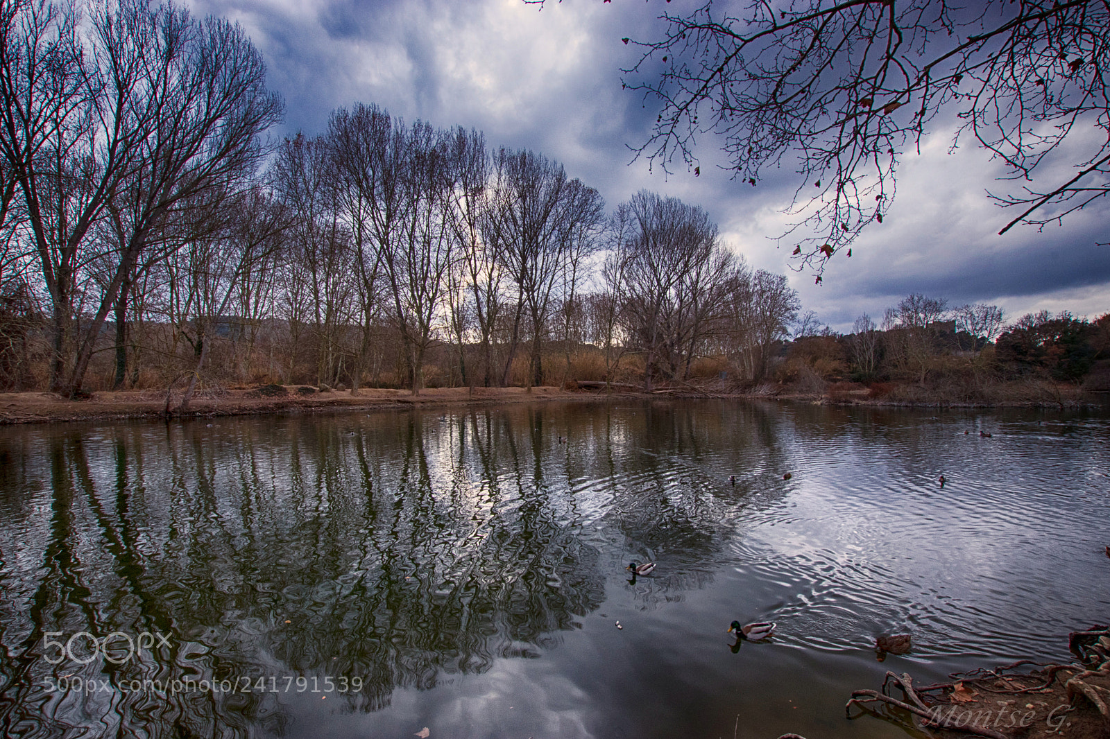 Canon EOS 77D (EOS 9000D / EOS 770D) sample photo. The lake photography