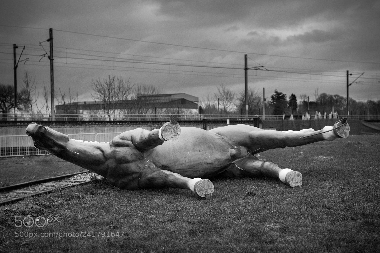 Canon EOS 760D (EOS Rebel T6s / EOS 8000D) sample photo. Dead horse photography