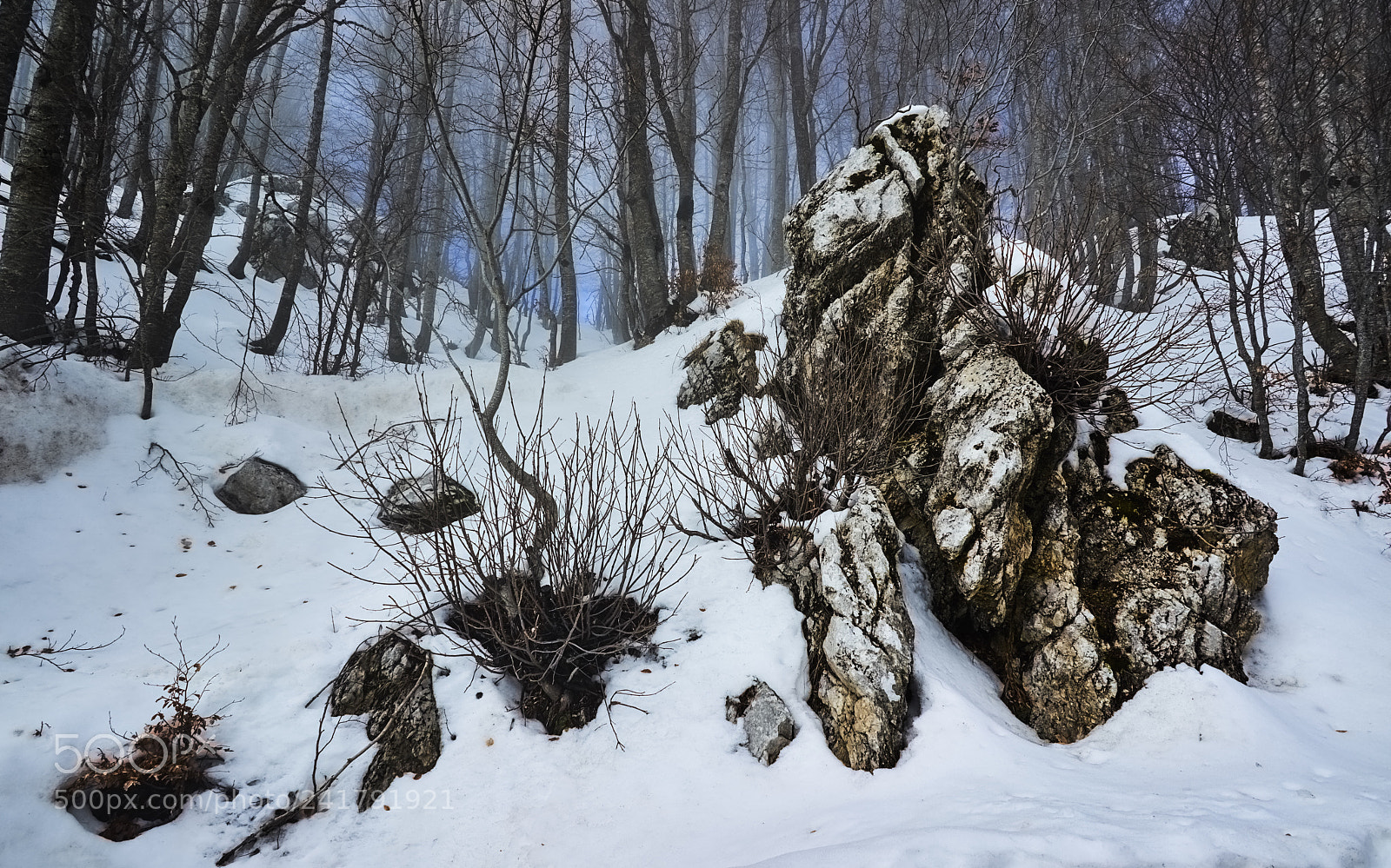 Sony a7R sample photo. Tale of tales photography