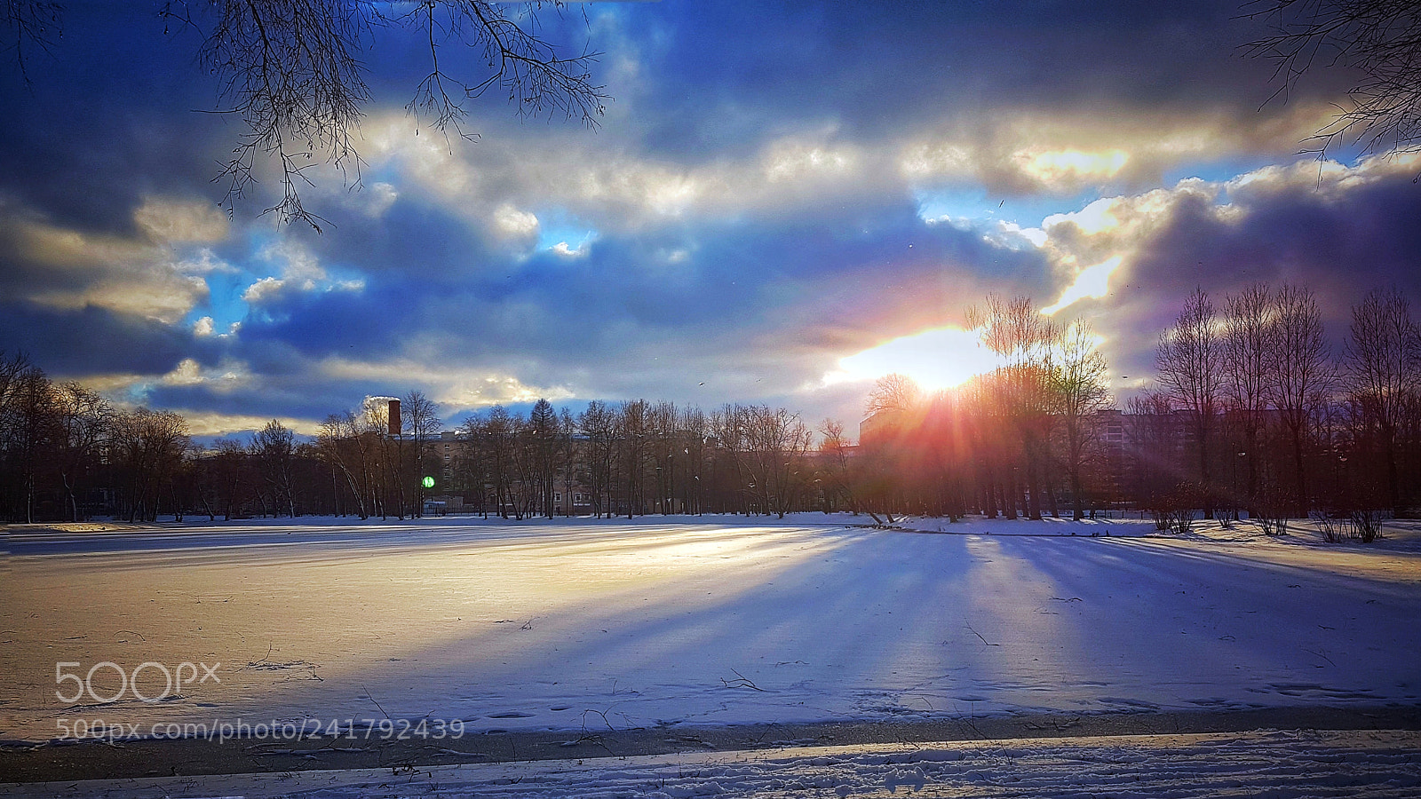 Samsung Galaxy S7 Edge sample photo. Winter sun photography