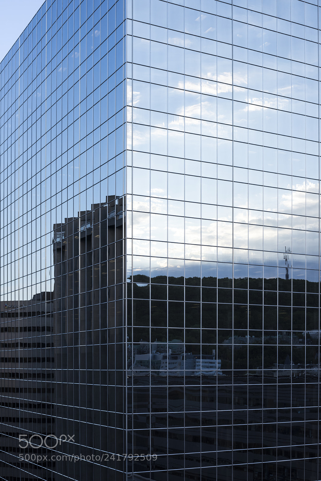 Nikon D810 sample photo. Looking in the mirror photography