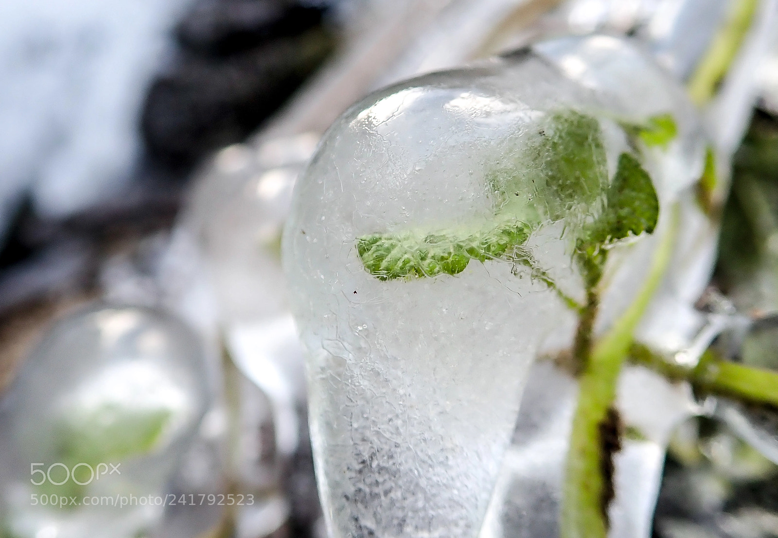 Olympus TG-5 sample photo. Winter in lithuania photography