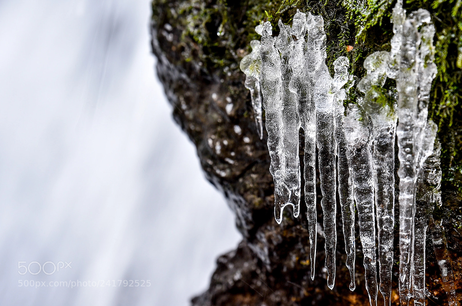 Nikon D4S sample photo. Winter in lithuania photography