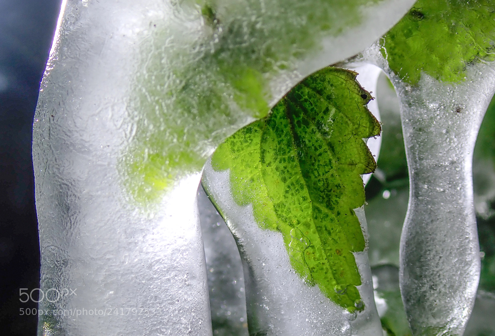 Olympus TG-5 sample photo. Winter in lithuania photography