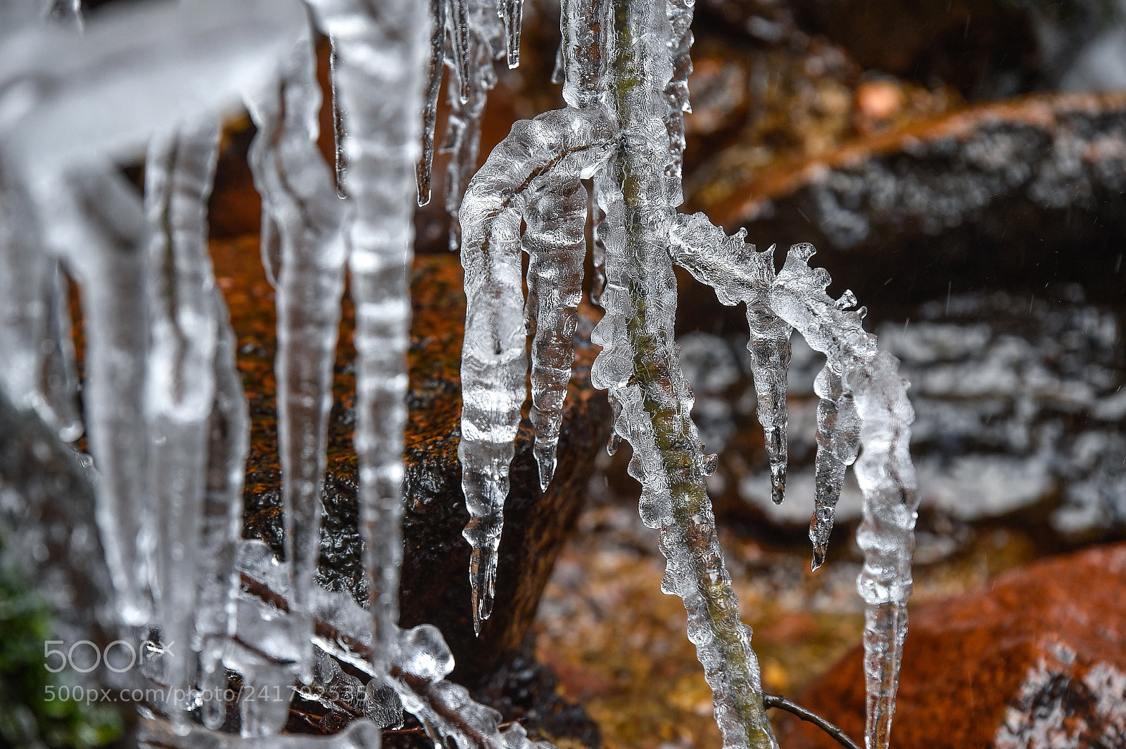 Nikon D4S sample photo. Winter in lithuania photography