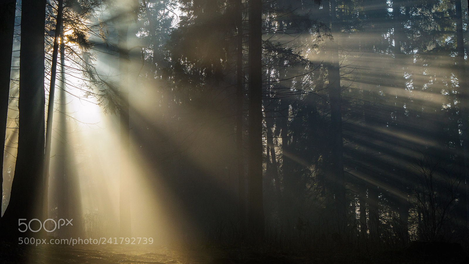 Nikon D3200 sample photo. Sun photography