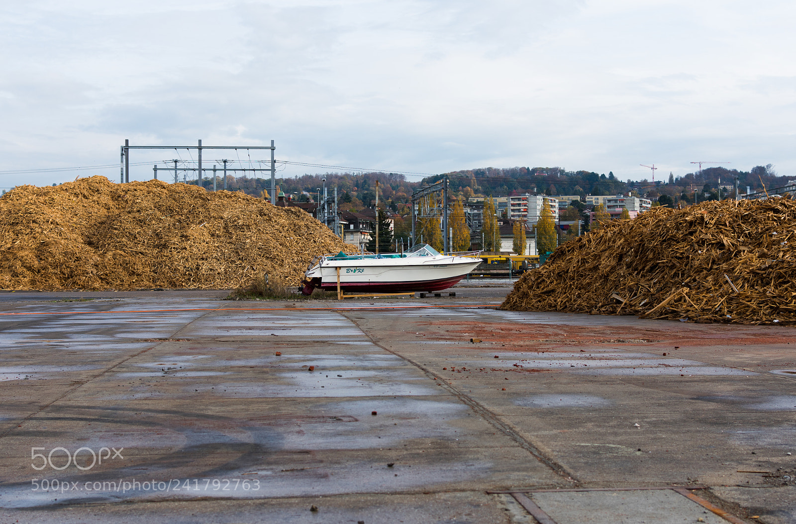 Nikon D3400 sample photo. En attendant le d photography
